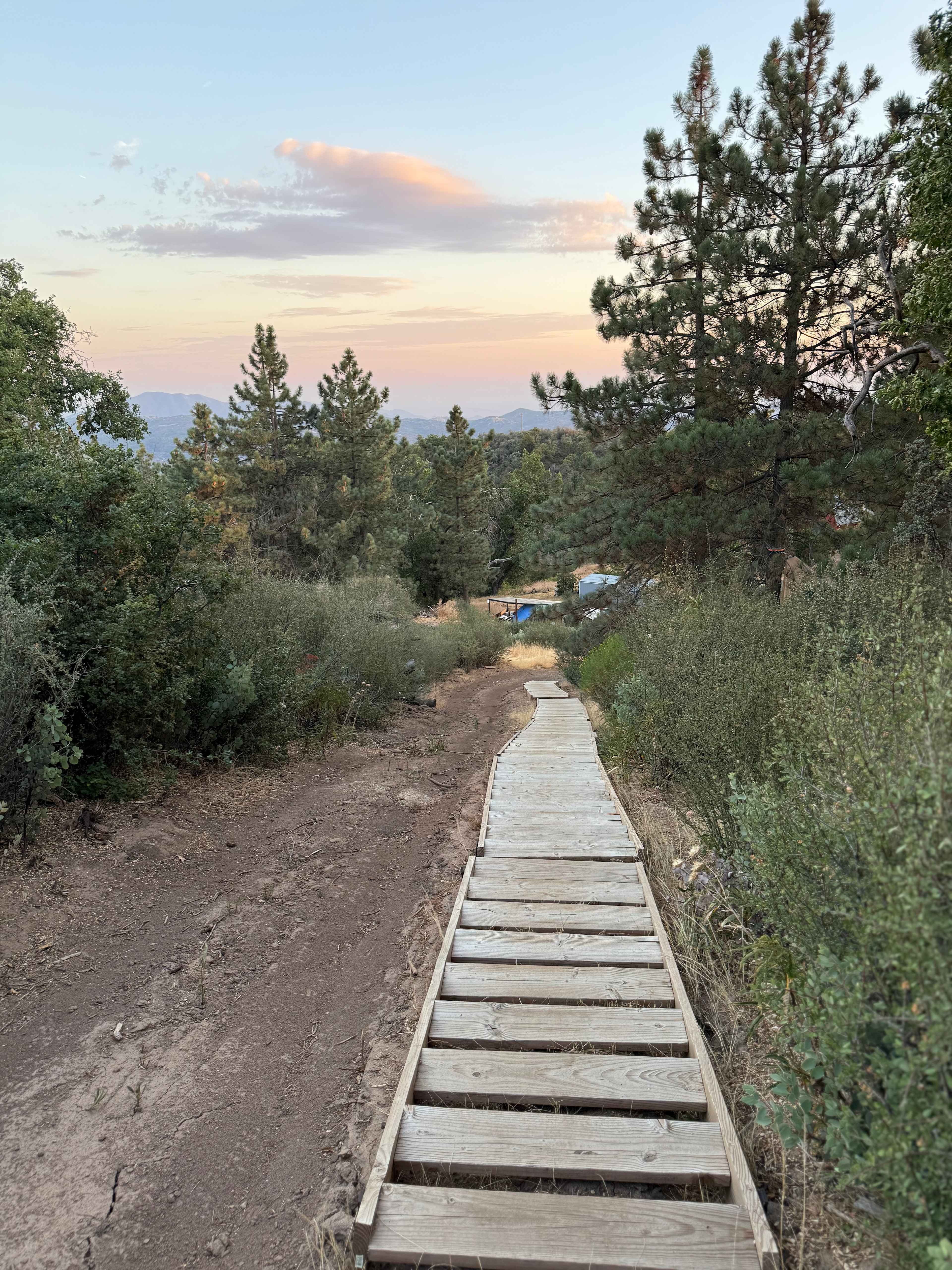 Steps down from our tree hugger #2, down to parking and communal kitchen and screened eating area