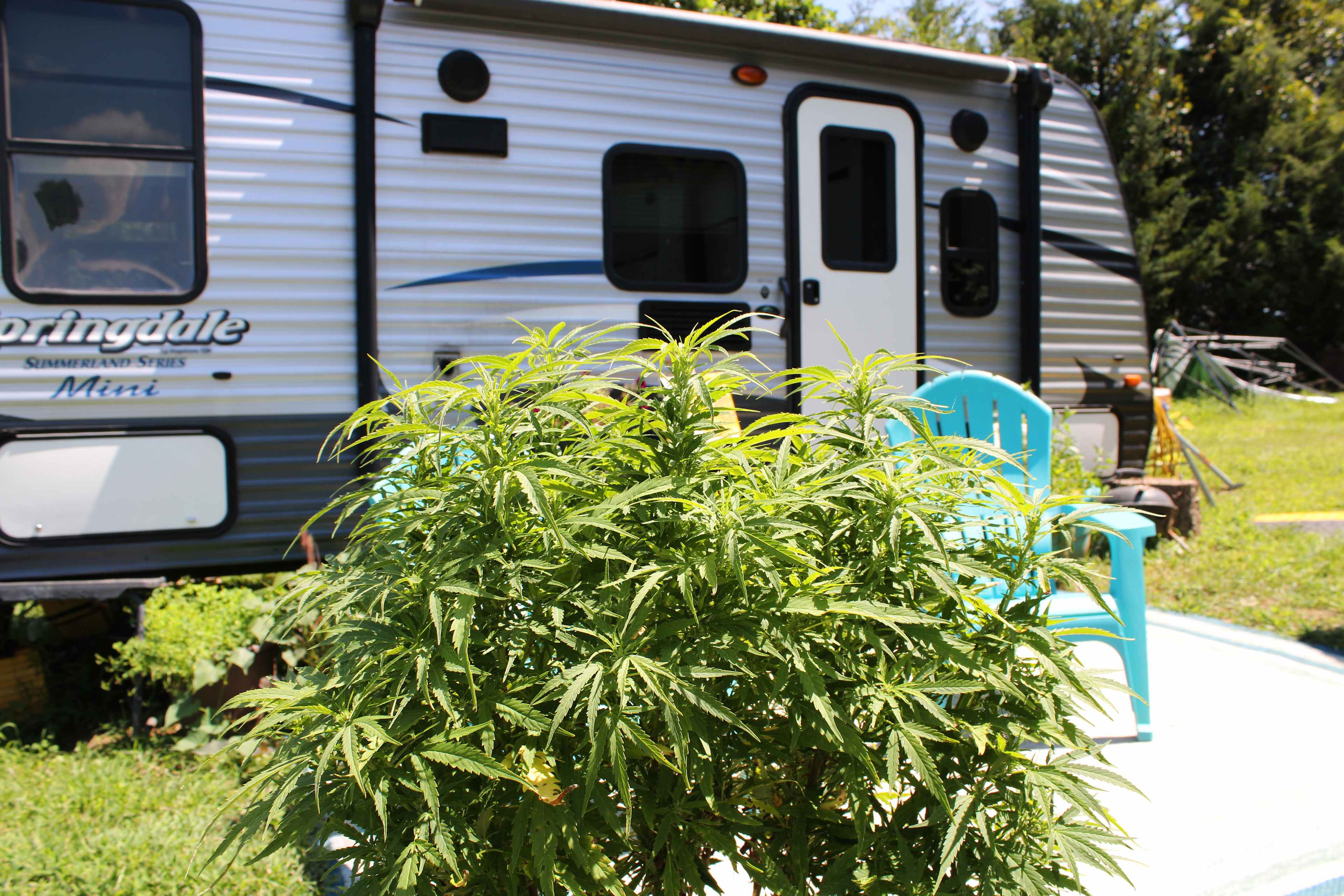 2nd40 to 420 - The Farm