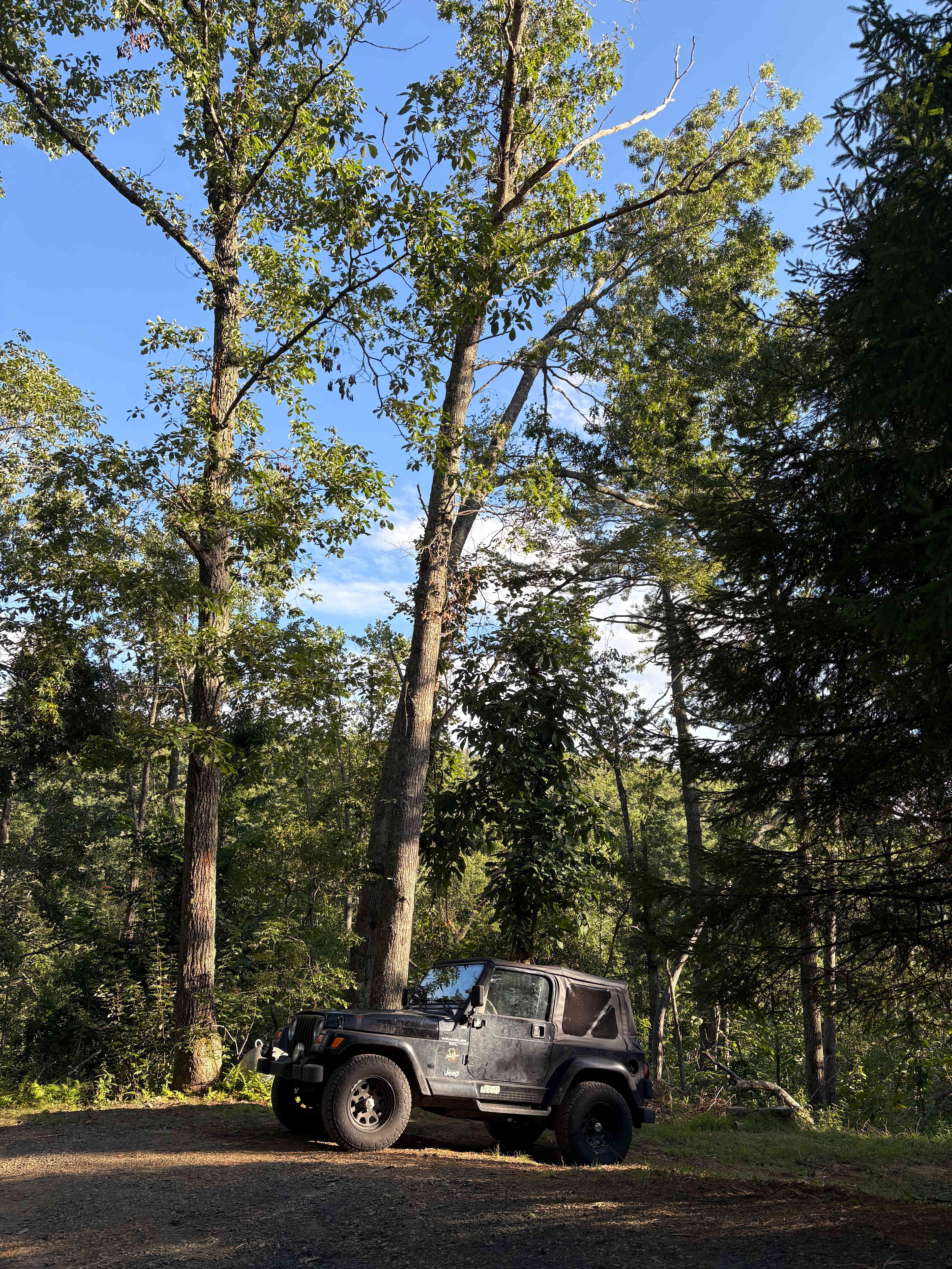 Spacious Skies Bear Den - RV/Tent Sites