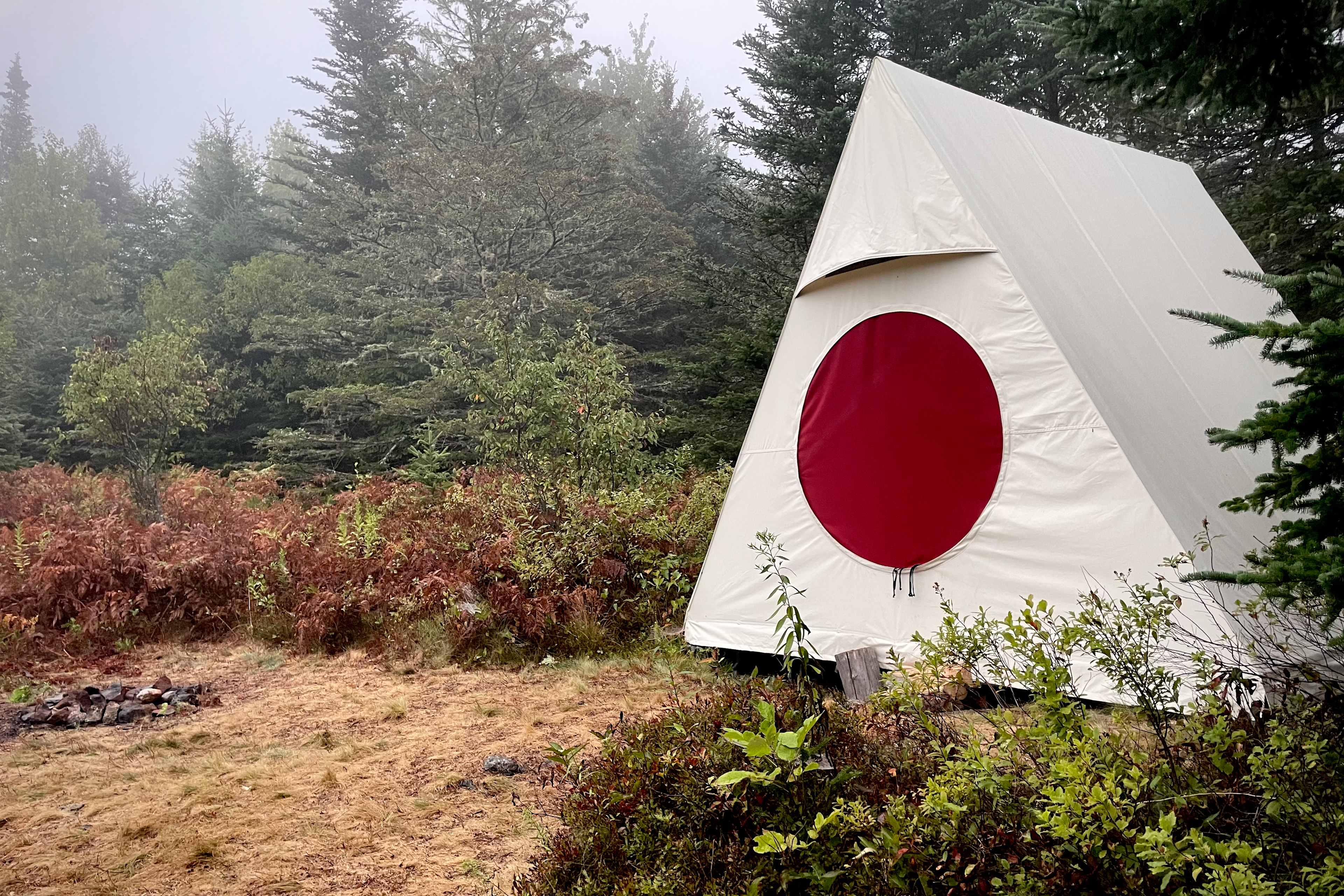 Blueberry Land Tent Platforms