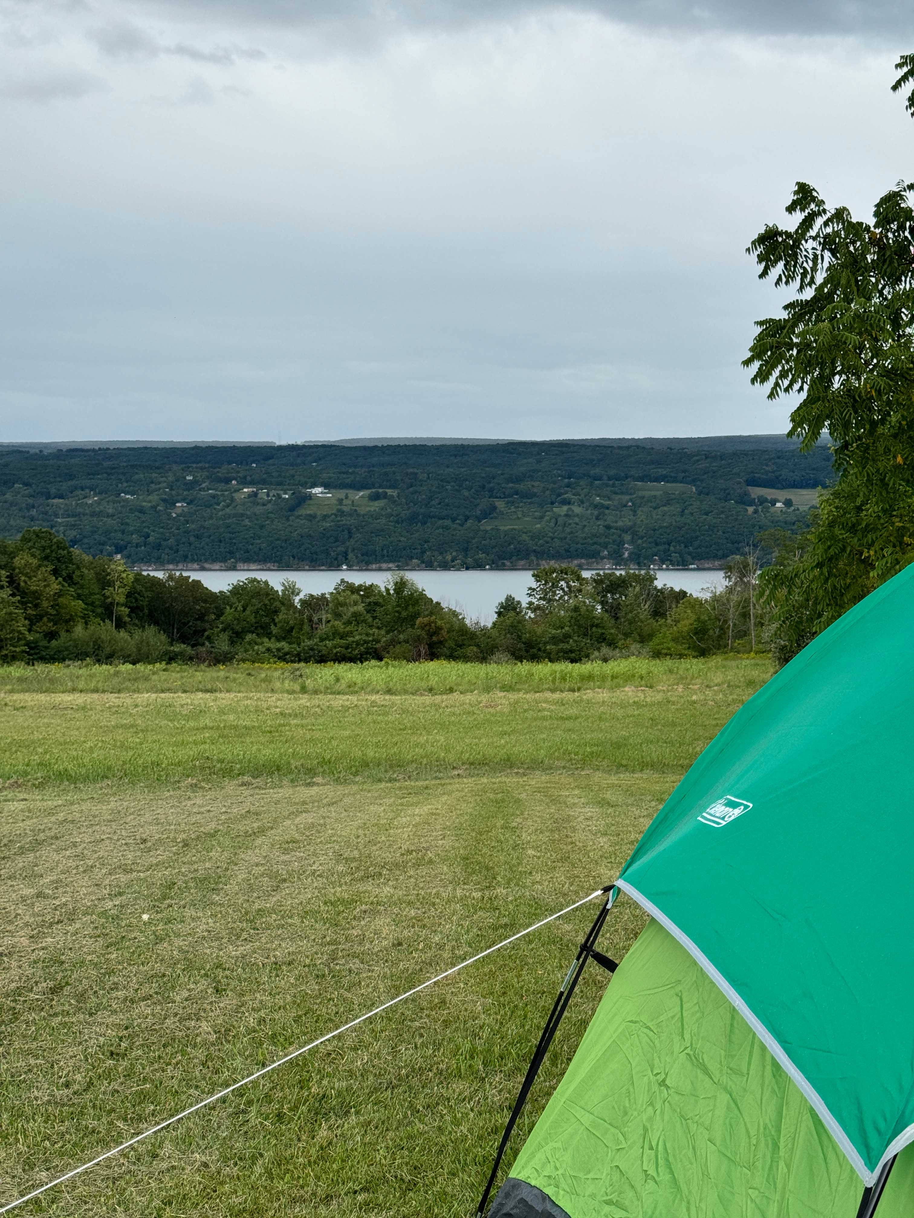 Seneca Lake Brewing/The Beerocracy