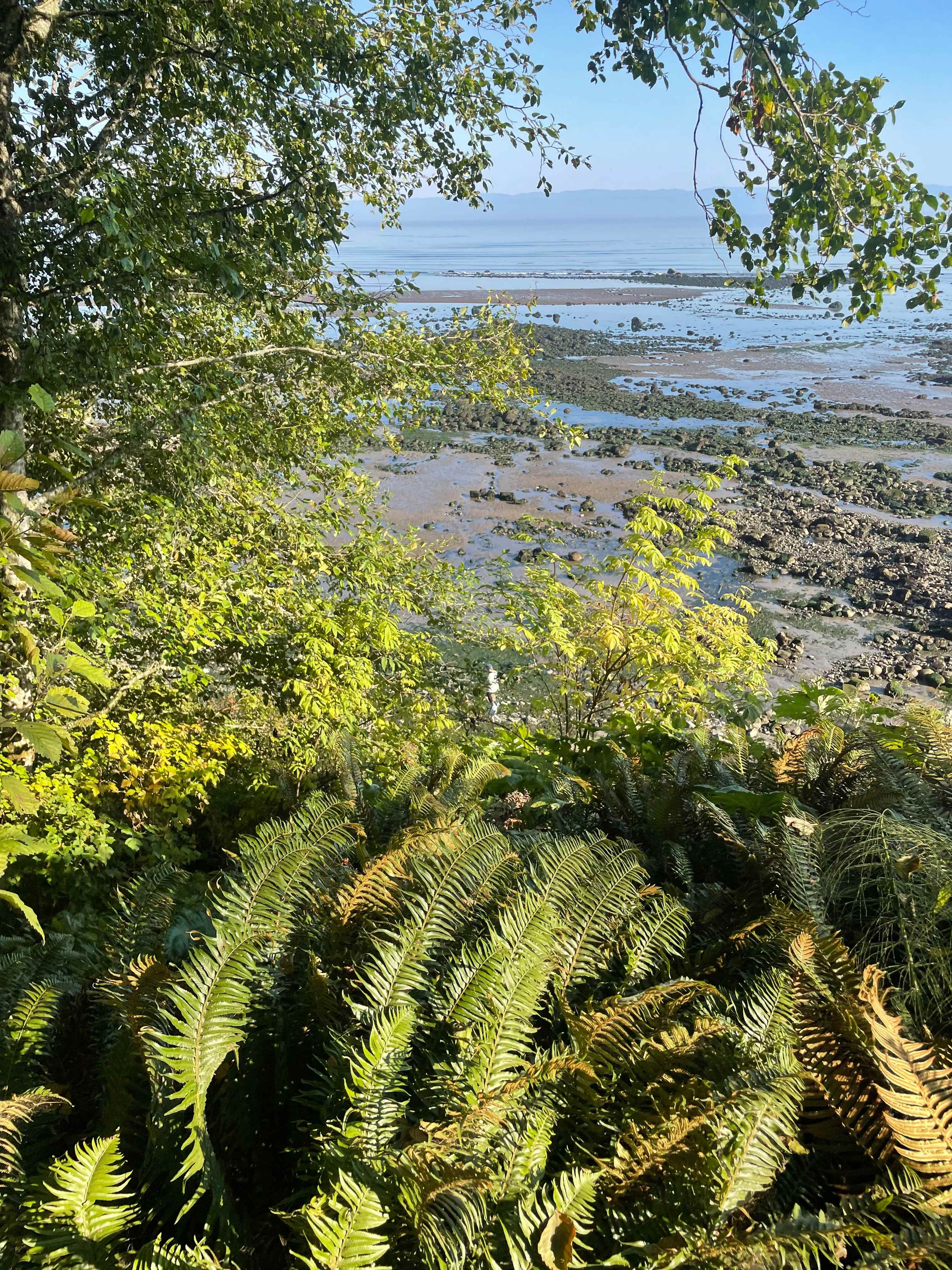 view from end of the work site