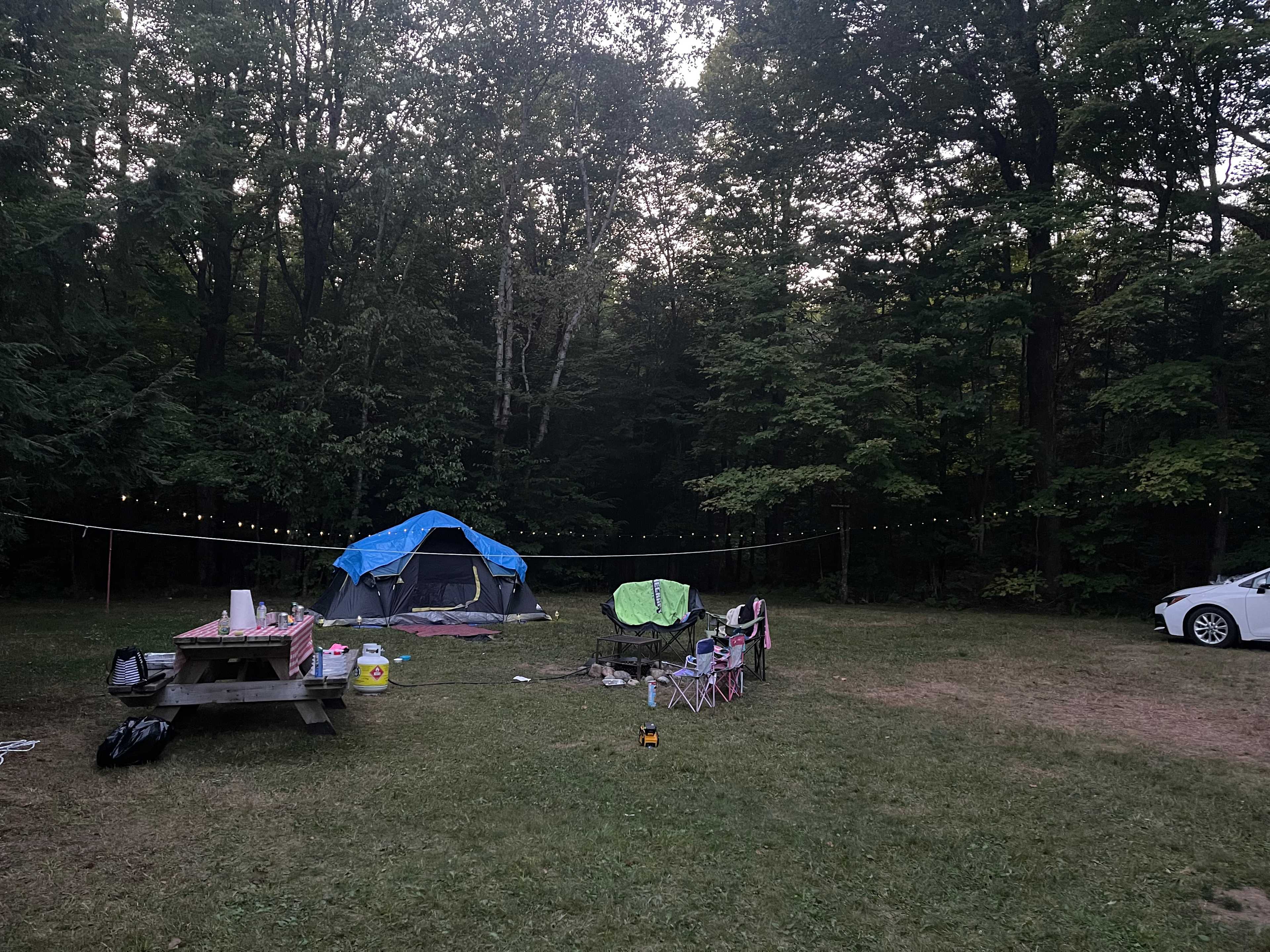 Mitziville By The Lake