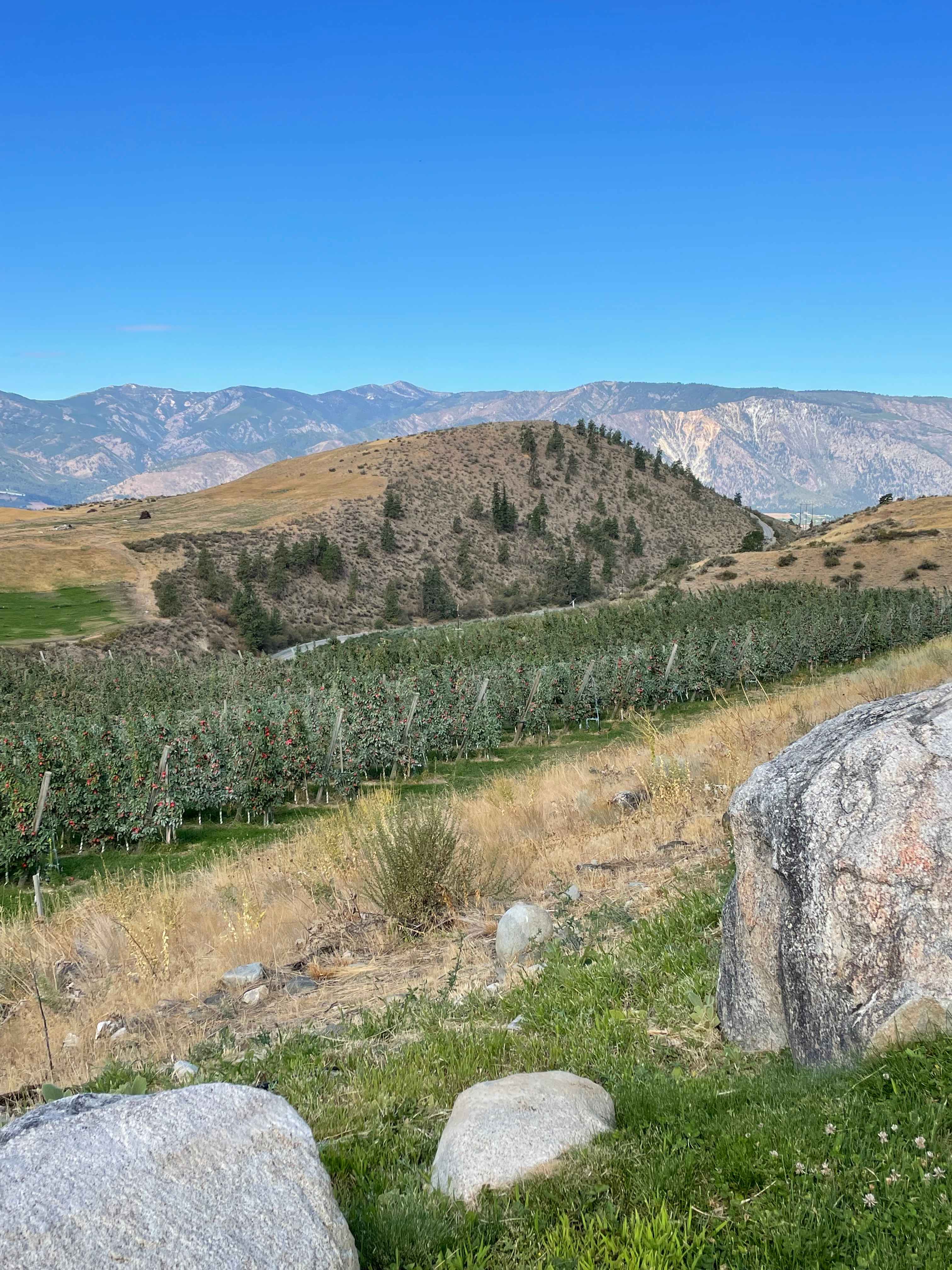 Farm Stays At Chelan Ranch