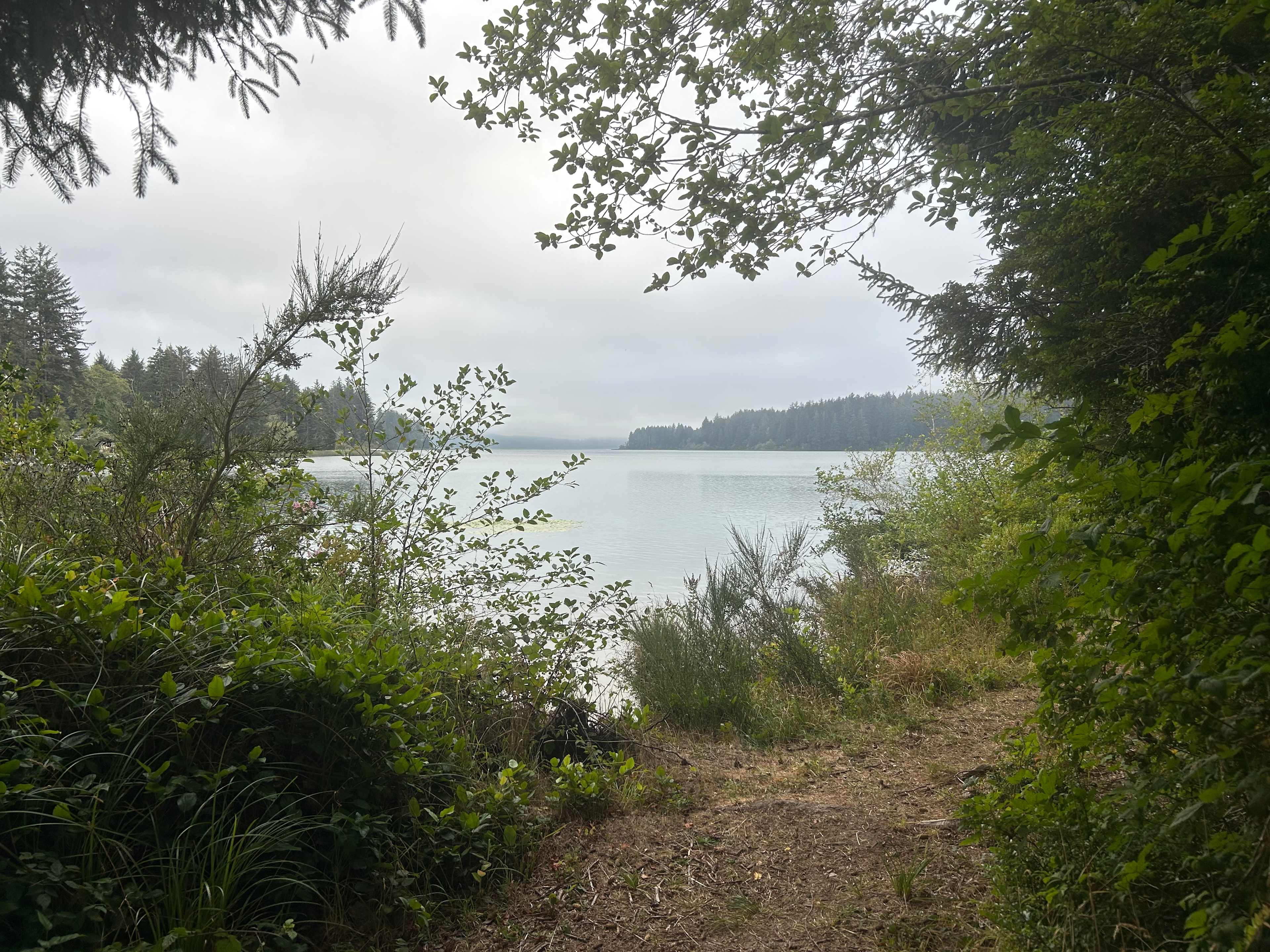 Siltcoos Cove - salmon are in!