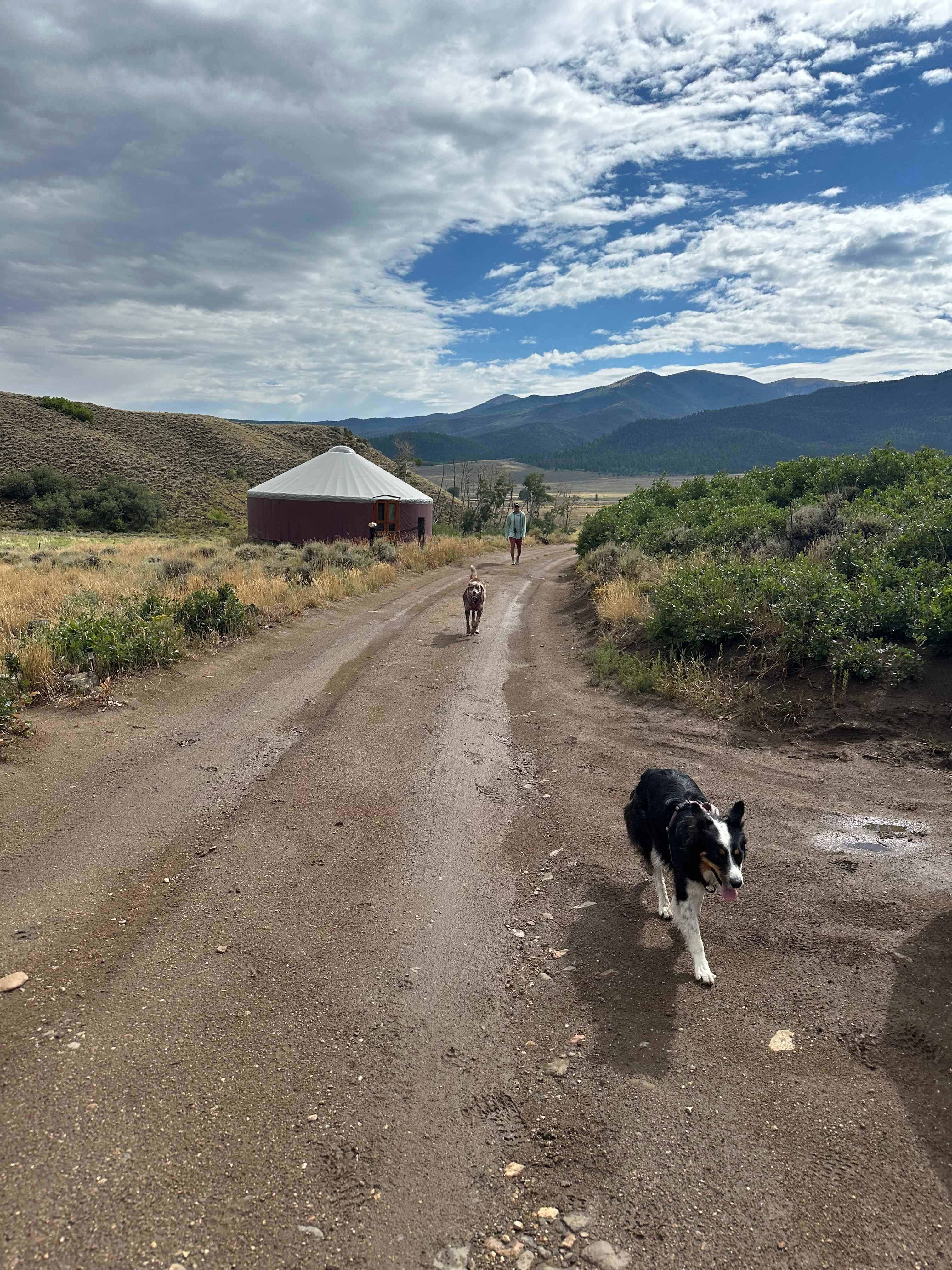Lone Tree Yurt at Poncha Pass