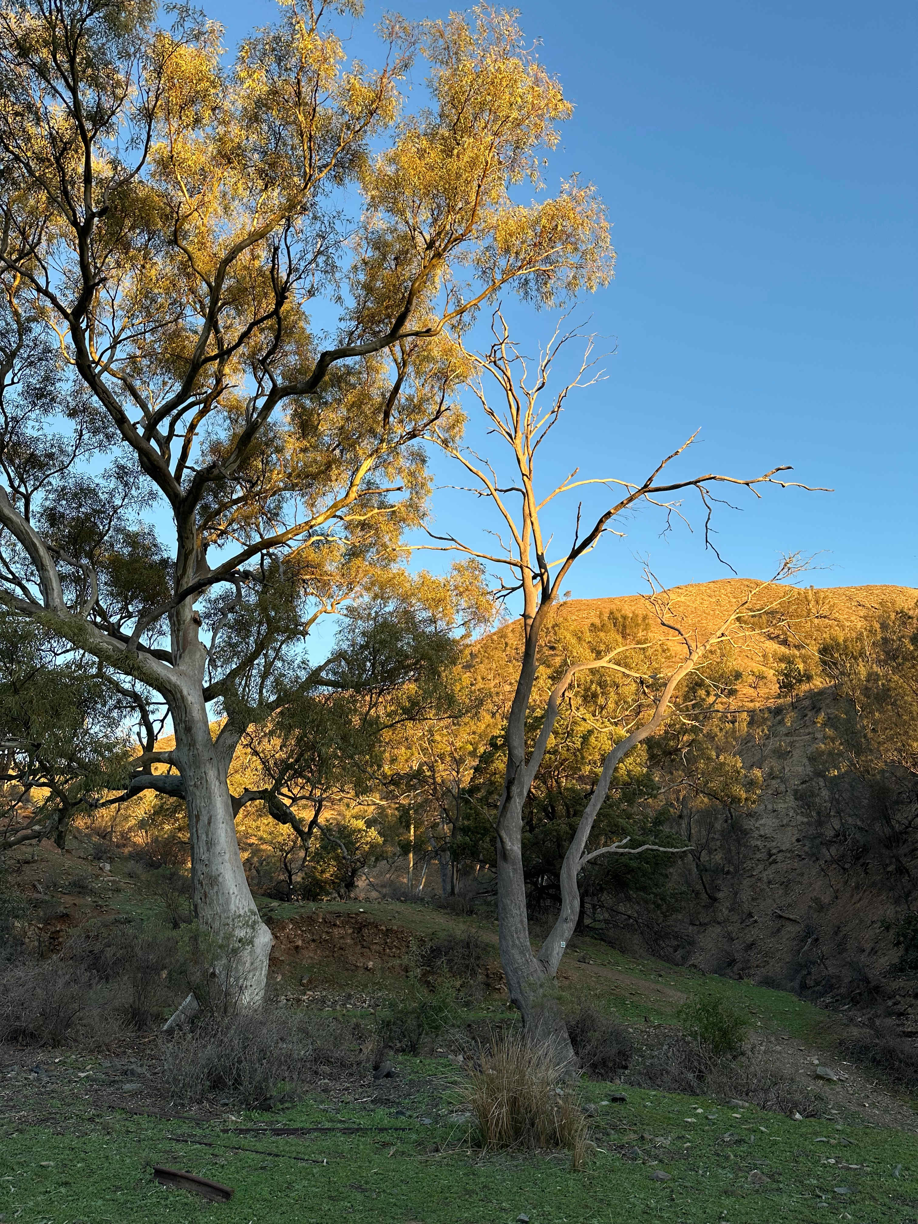 Spear Creek Holiday Park