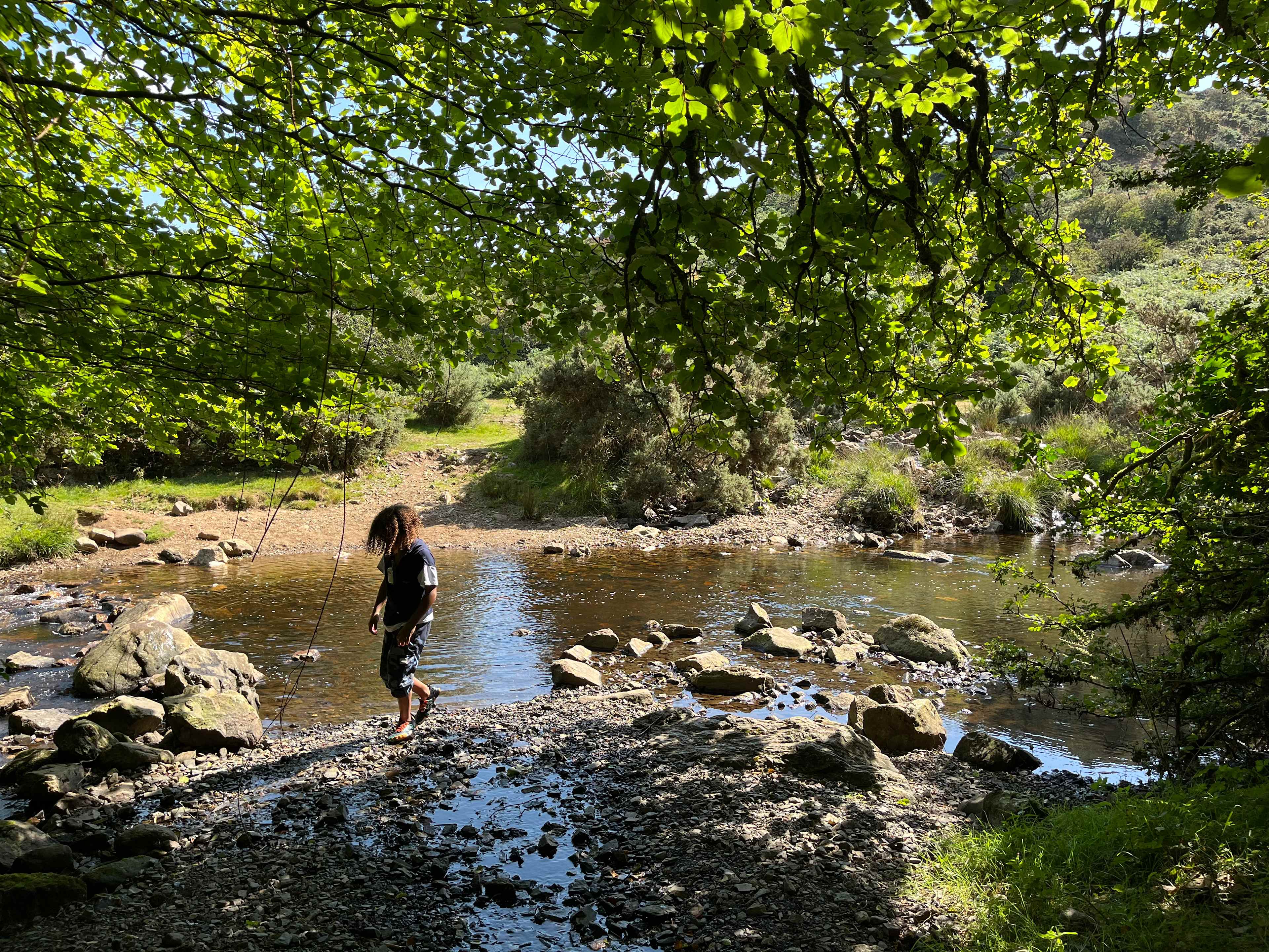 Meldon Lake and Woods Wild Camping