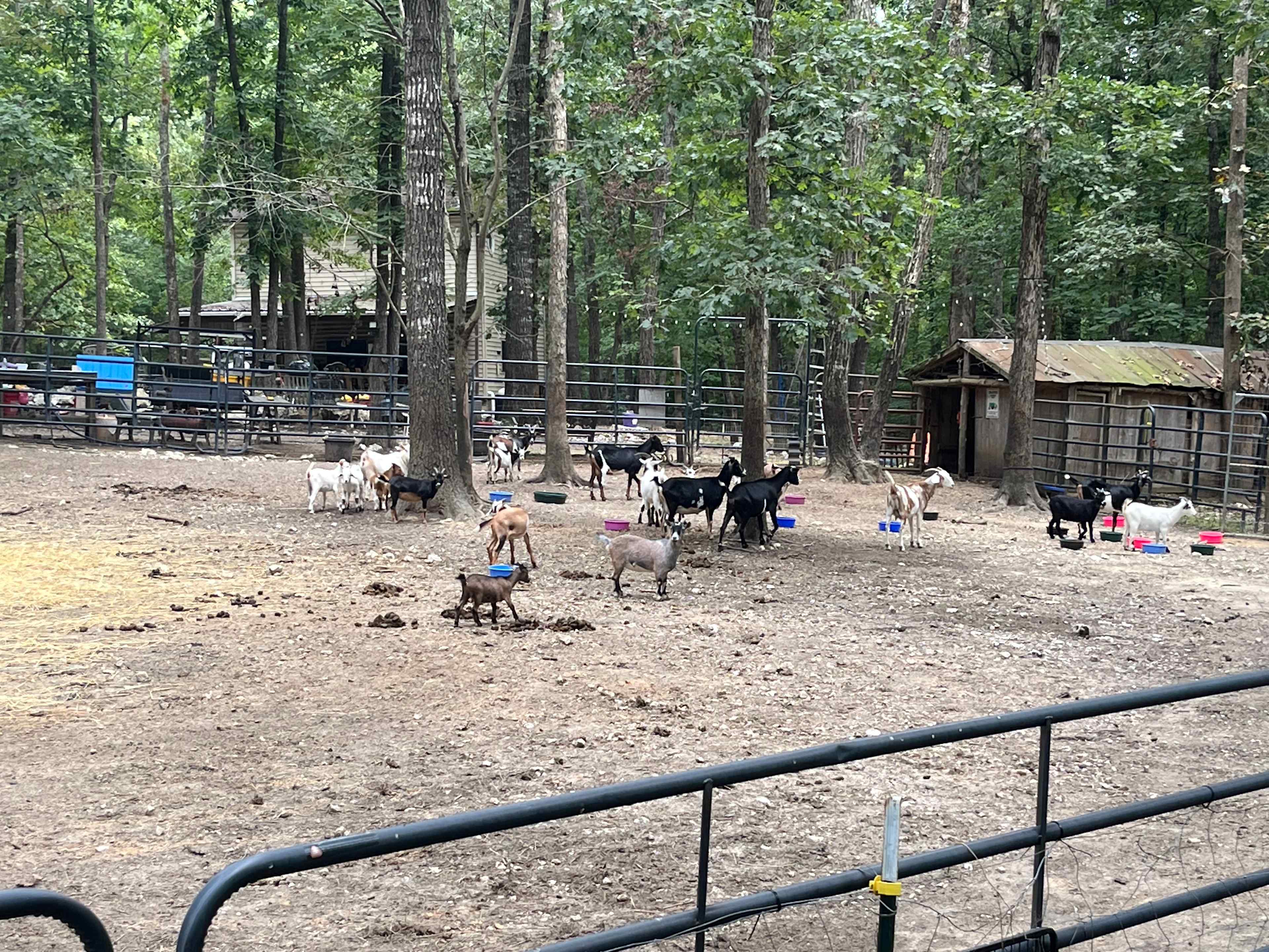 White Stone Forge & Farm