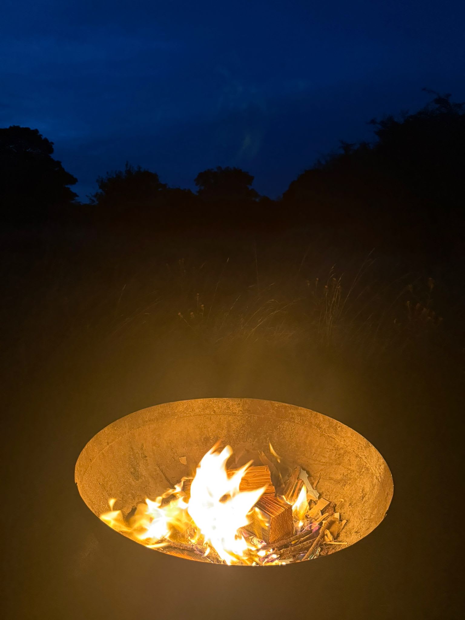 Wild Penllŷn Camping Field