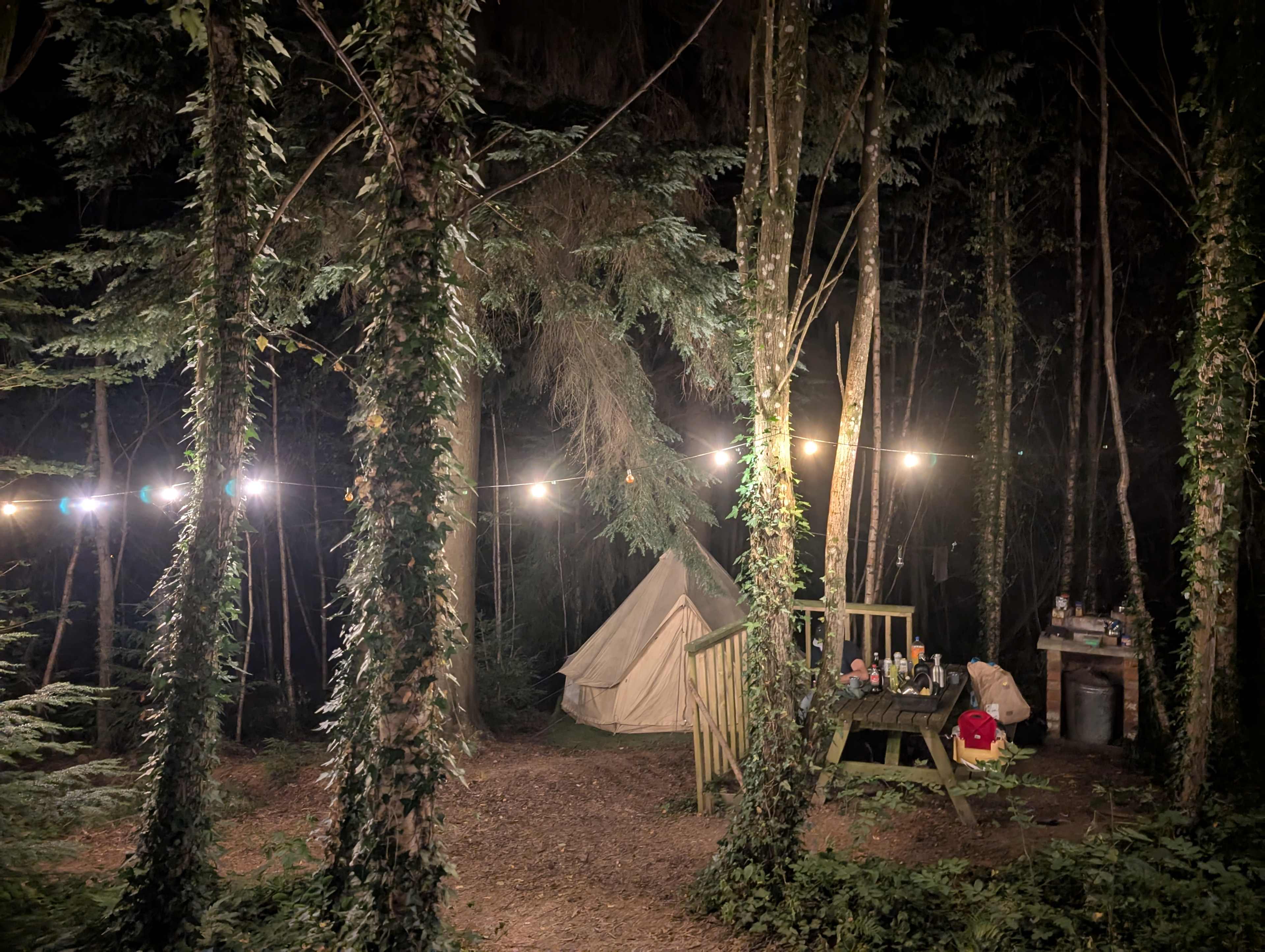 Celtic Woodland Holidays