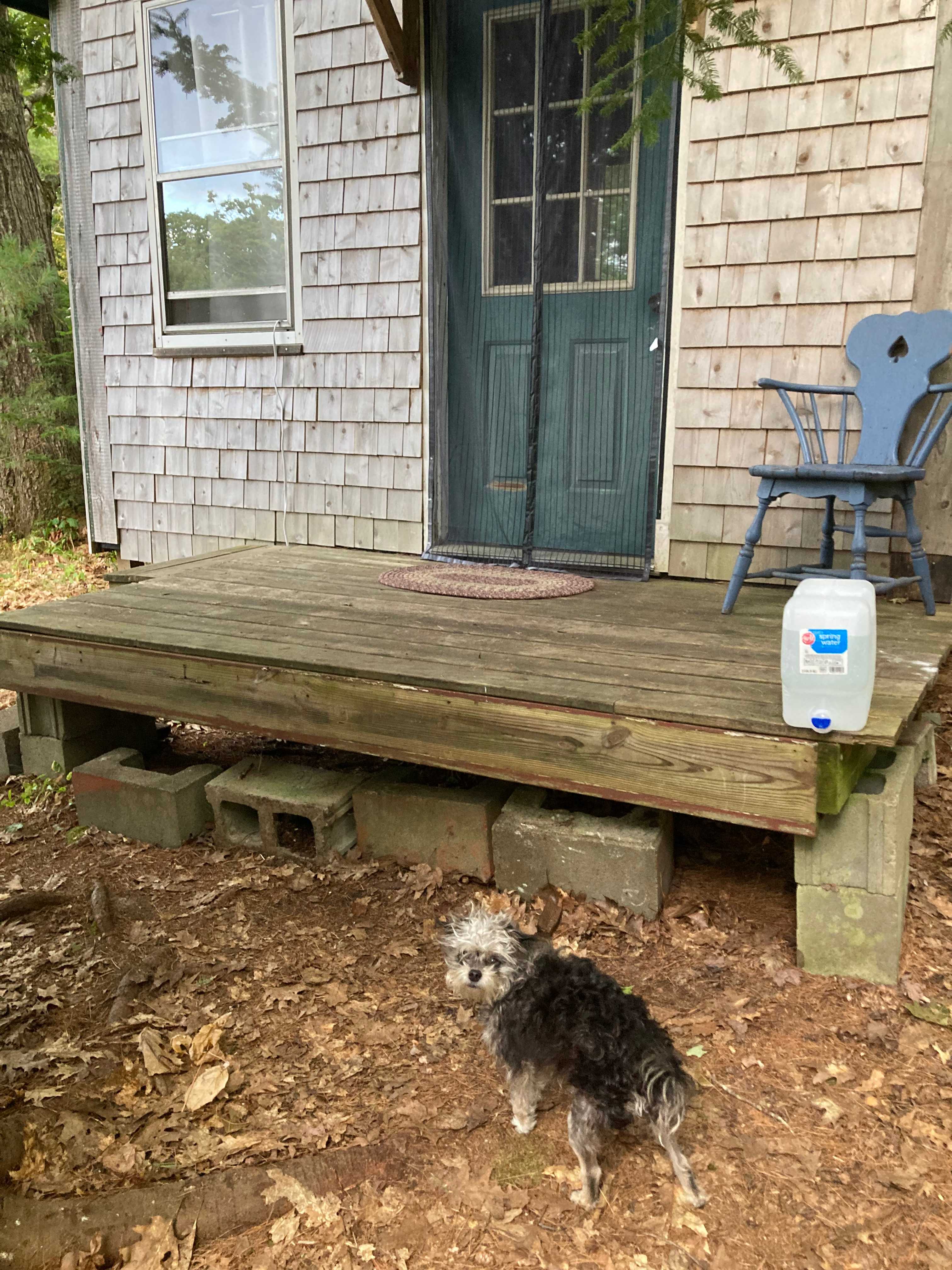 Stuart Little’s Dreamhouse