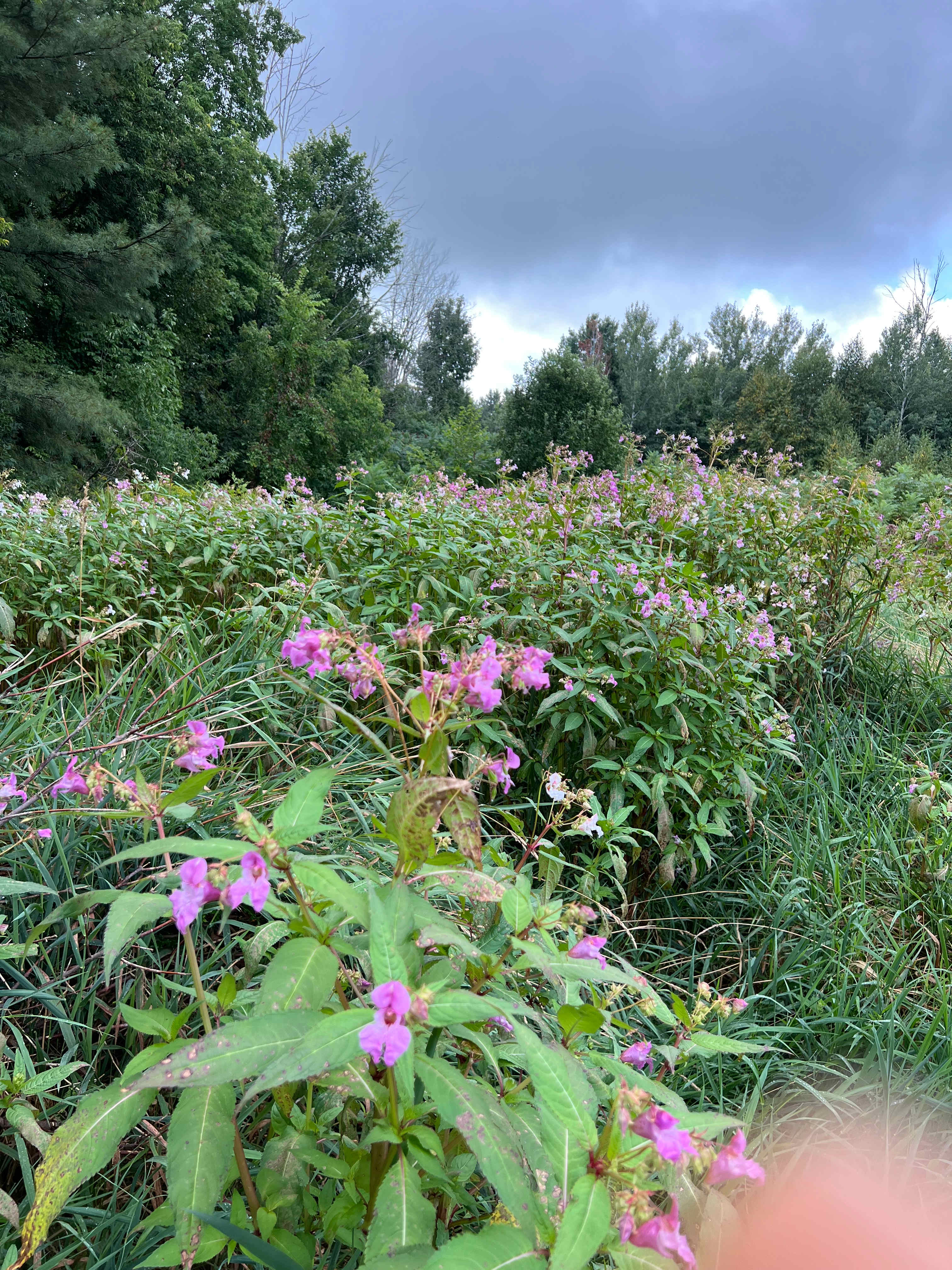 Agape Gardens - Nature Retreat