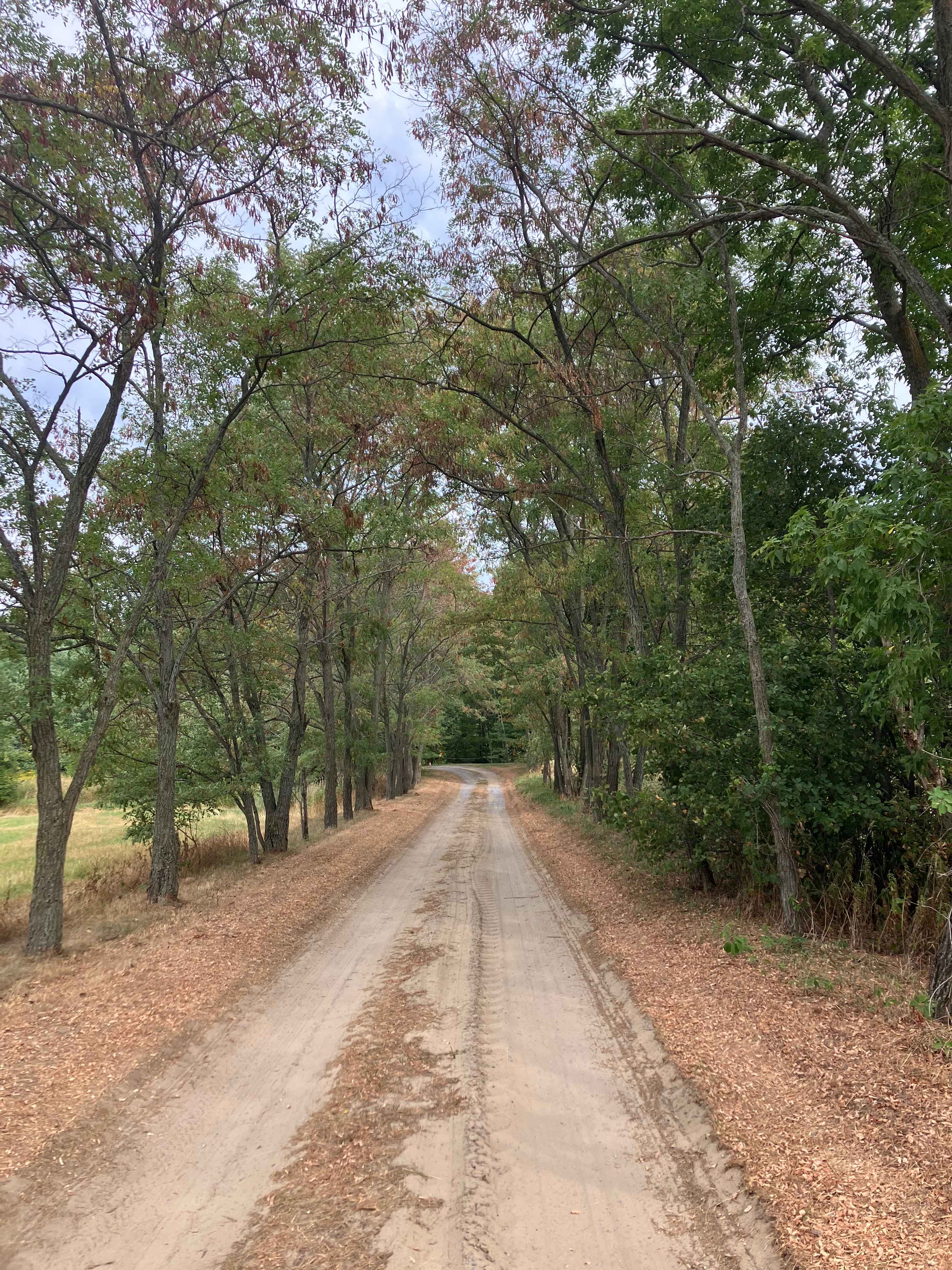 Whispering Pines - Curran, Ontario