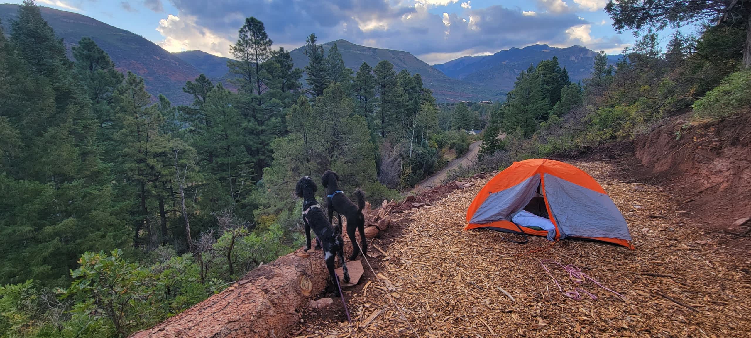 Campfire Dreamers (4WD or AWD)