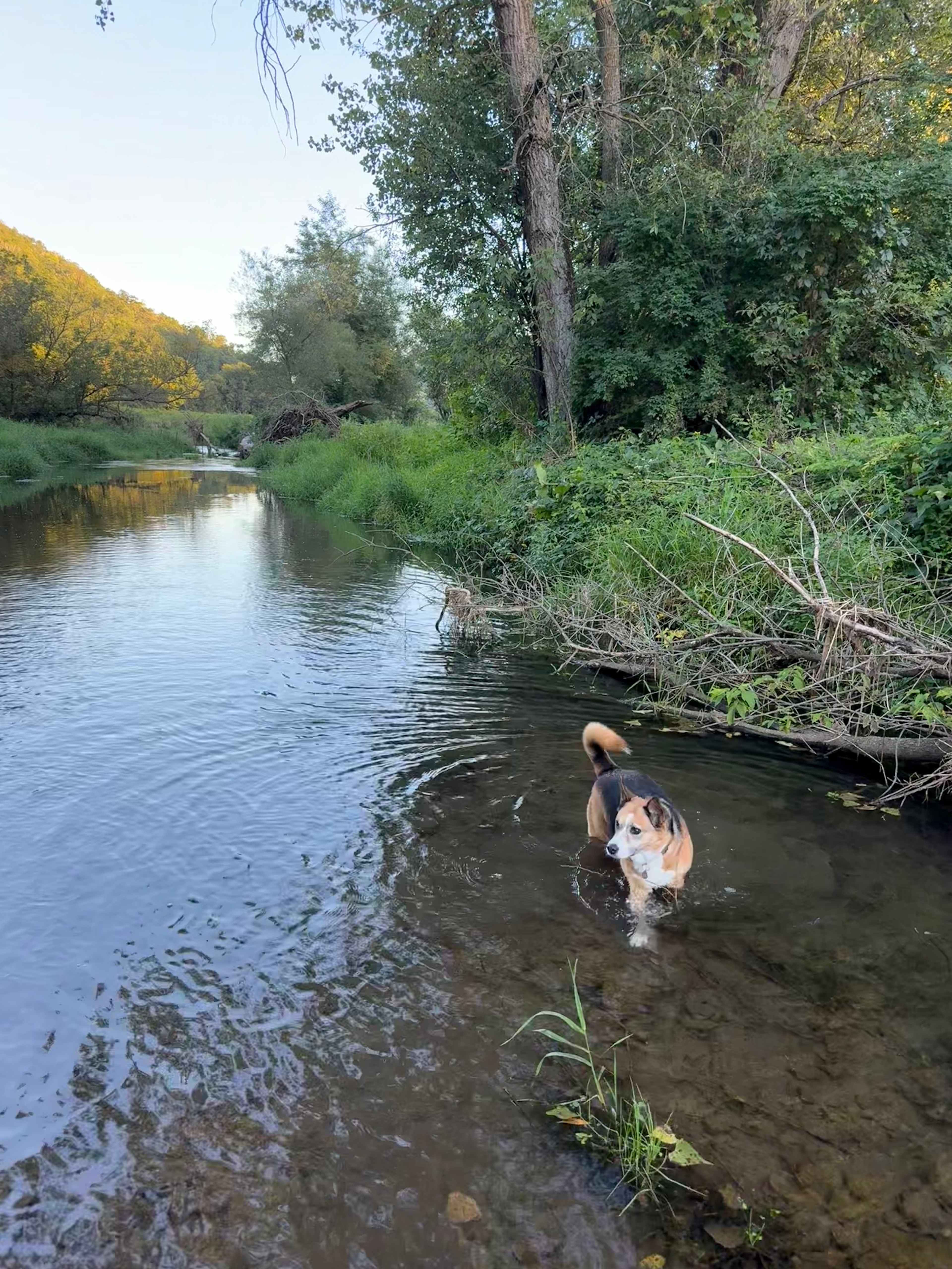 New Hartford trout camp