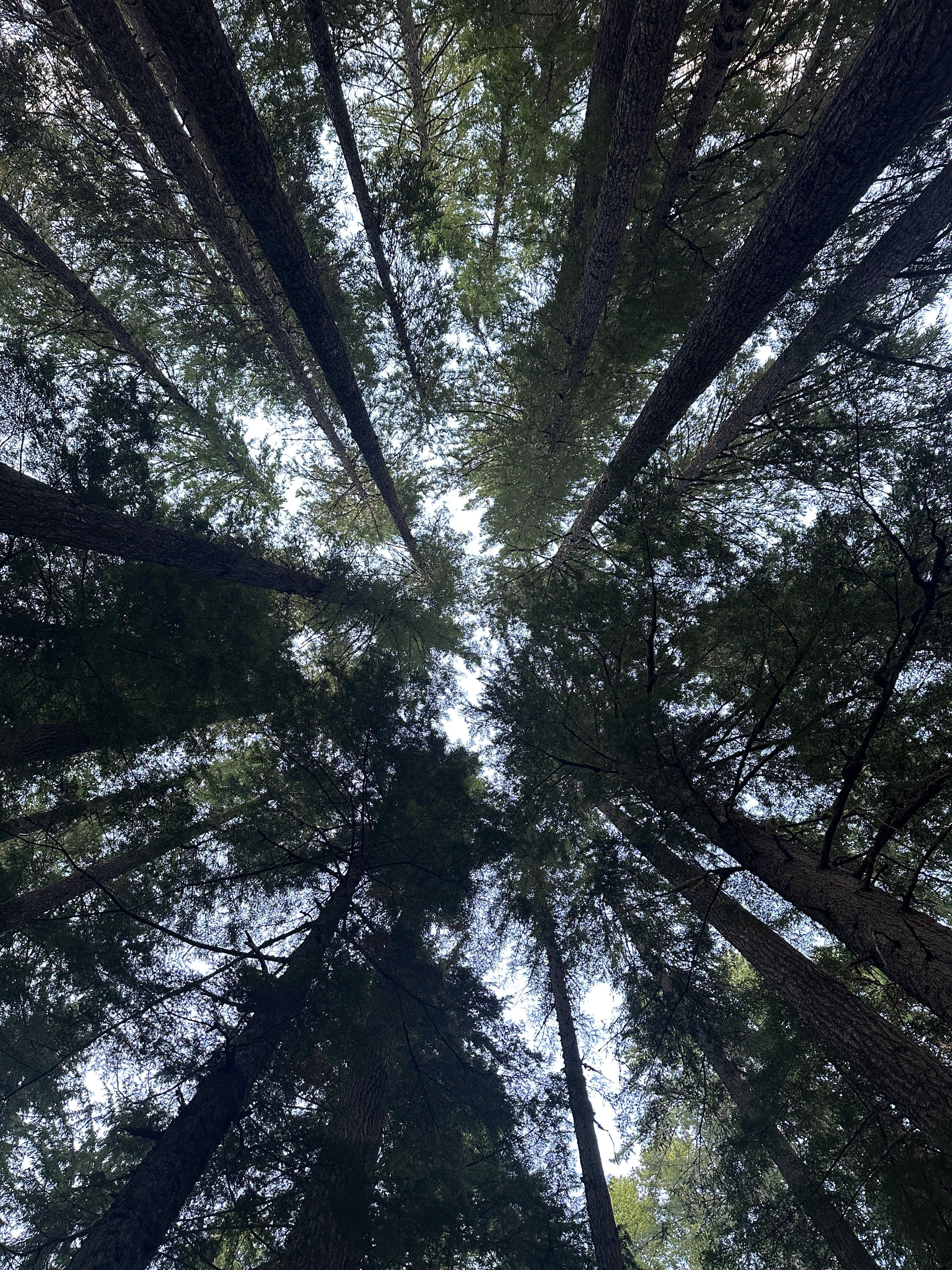 Nature Camp, Cabin and Farm.