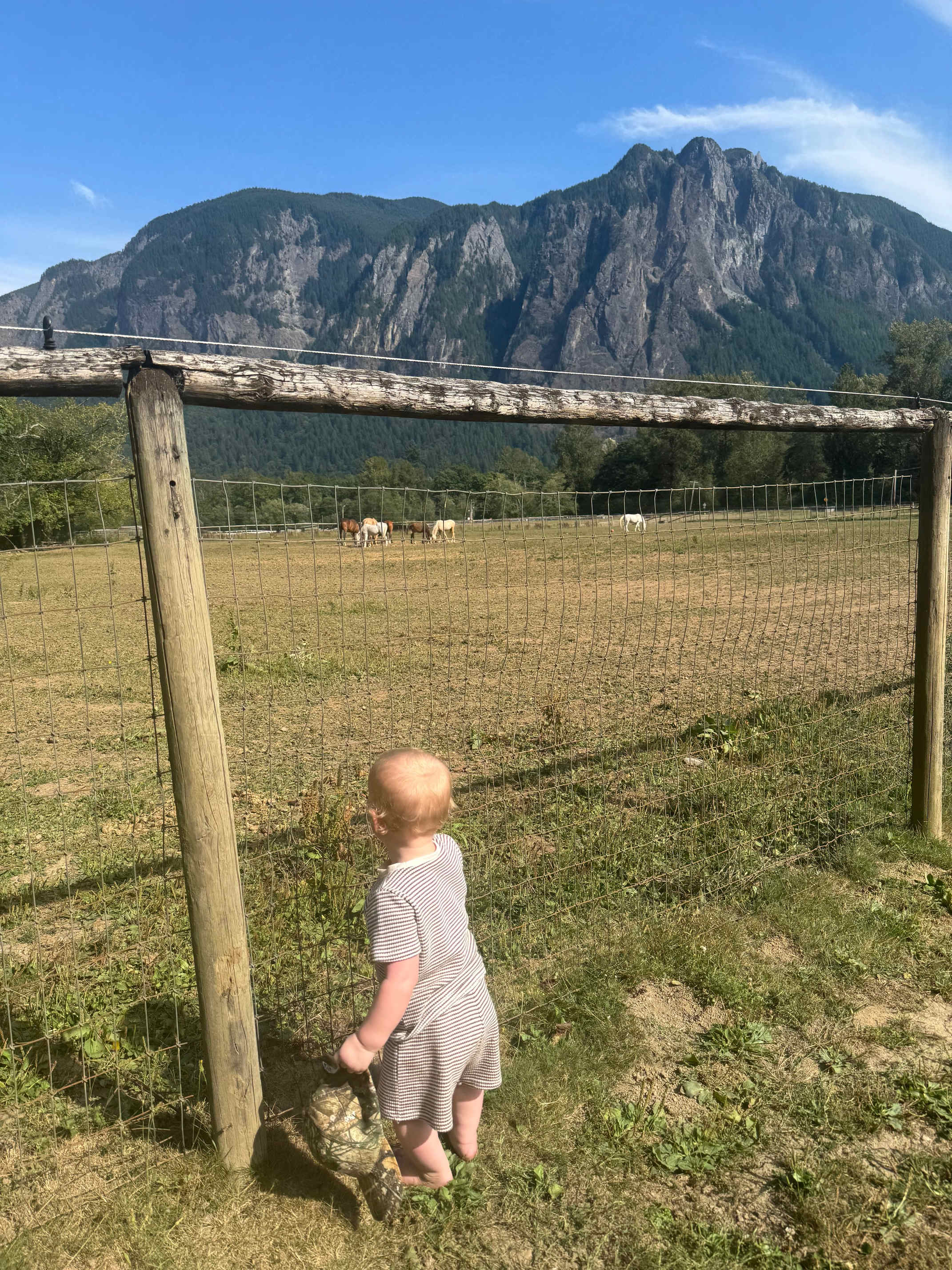 Our view from the campsite :)