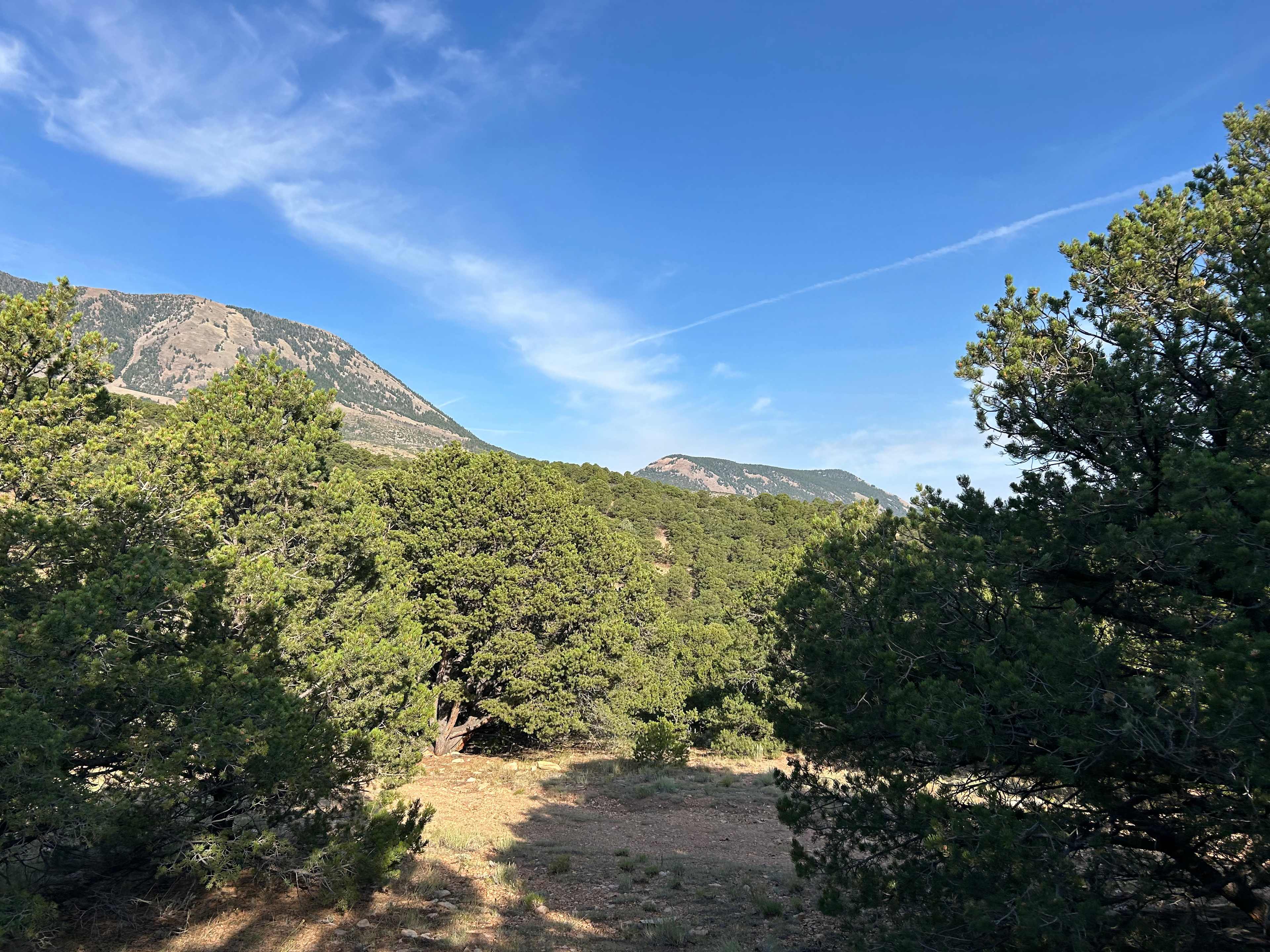 Secluded Mountain Property