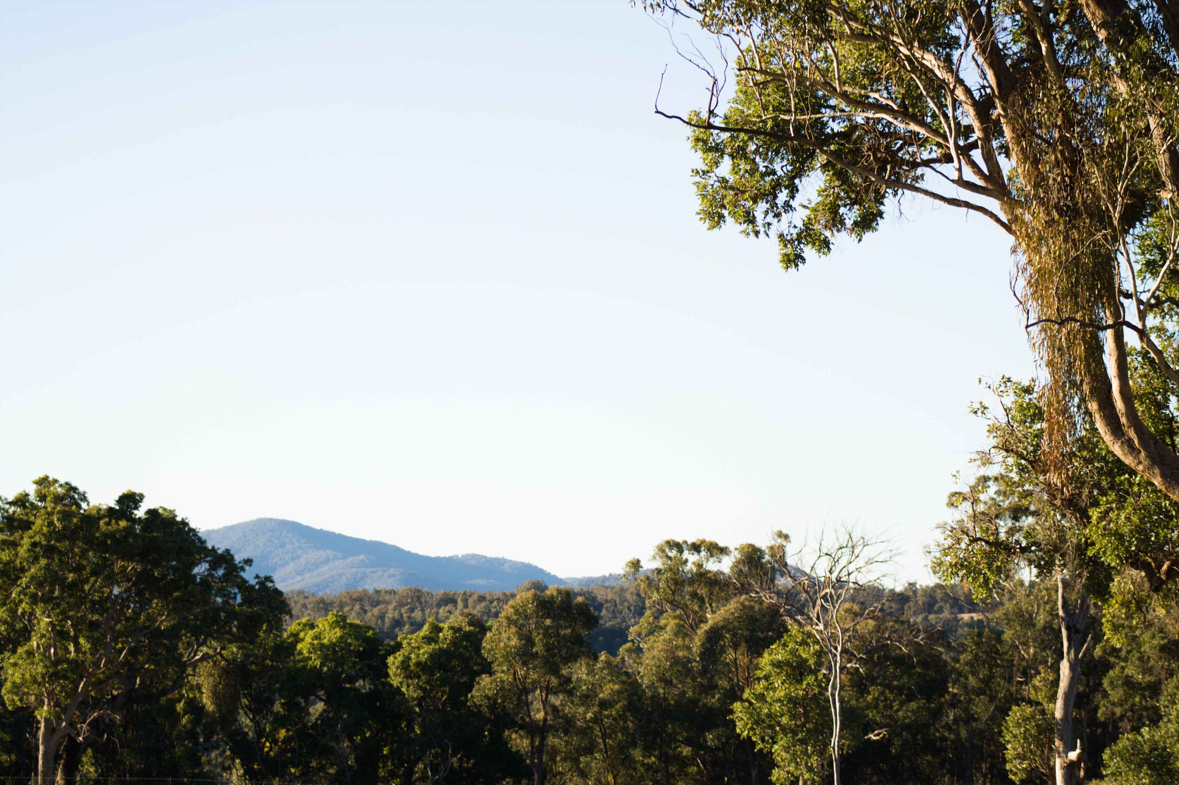 Splitters Swamp Creek Waterfall