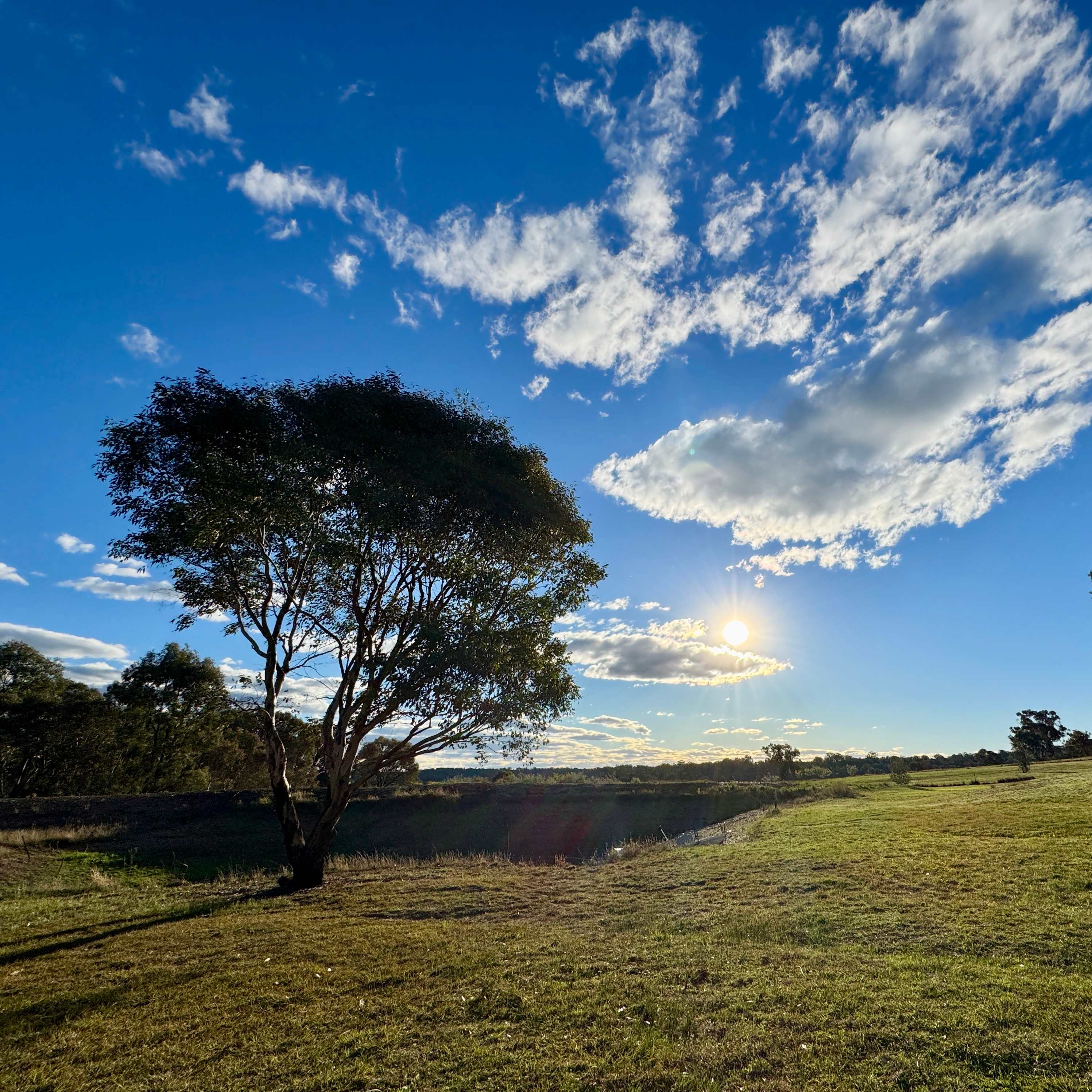 Serendipity - a fortunate discovery