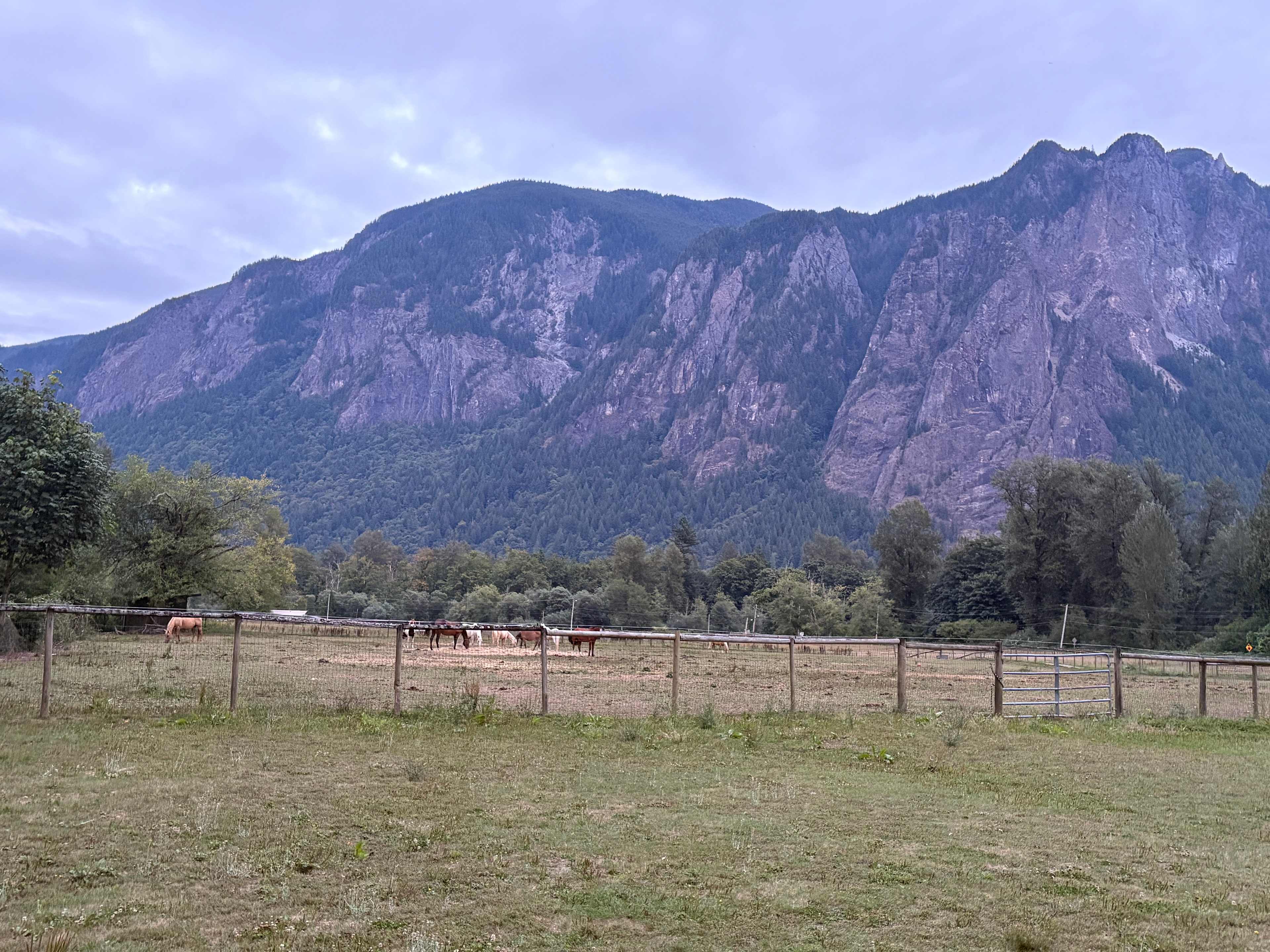 Juliane Henry’s Equestrian