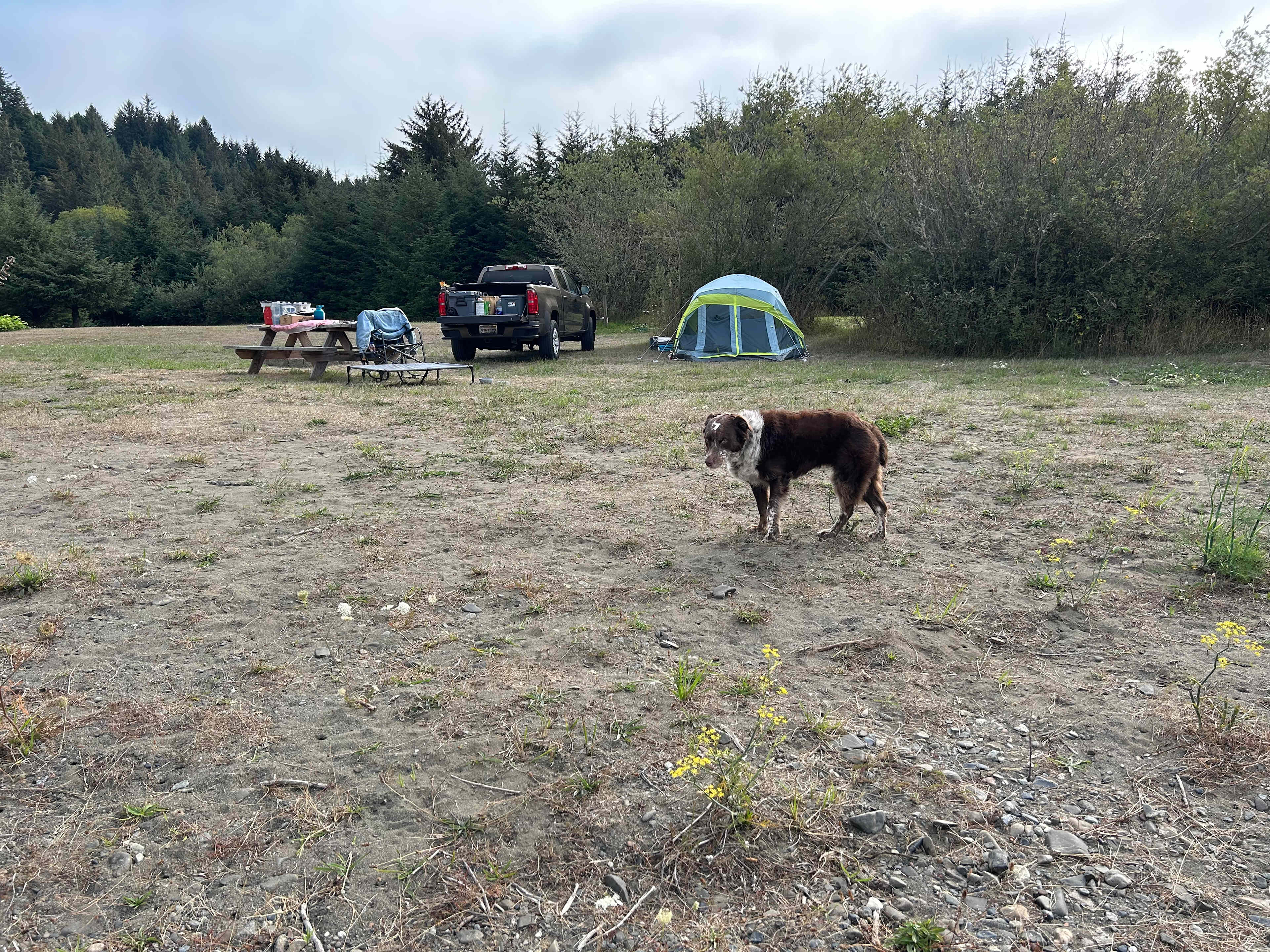 Fennel Flats - At The Orchard Hole