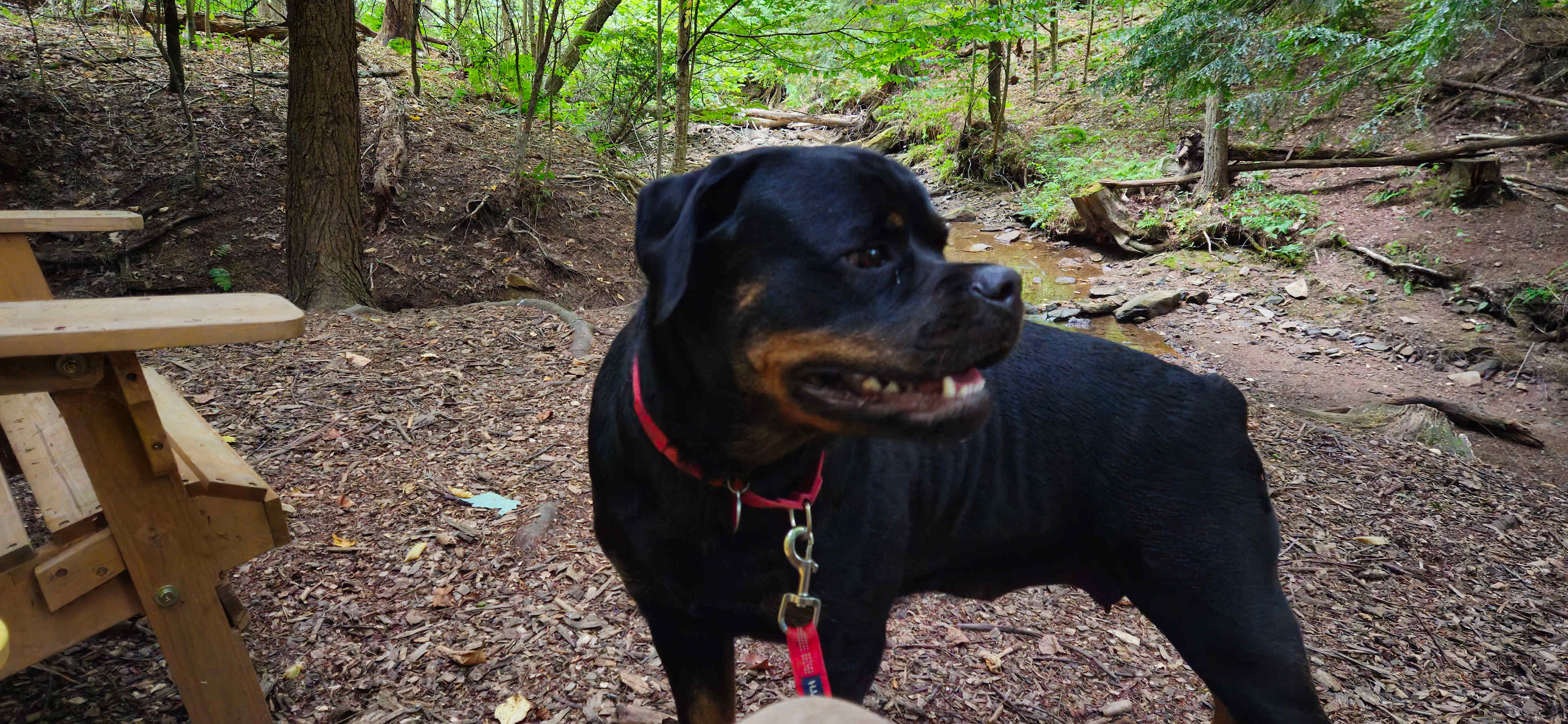 Rustic Acres - Elevated RV Camping