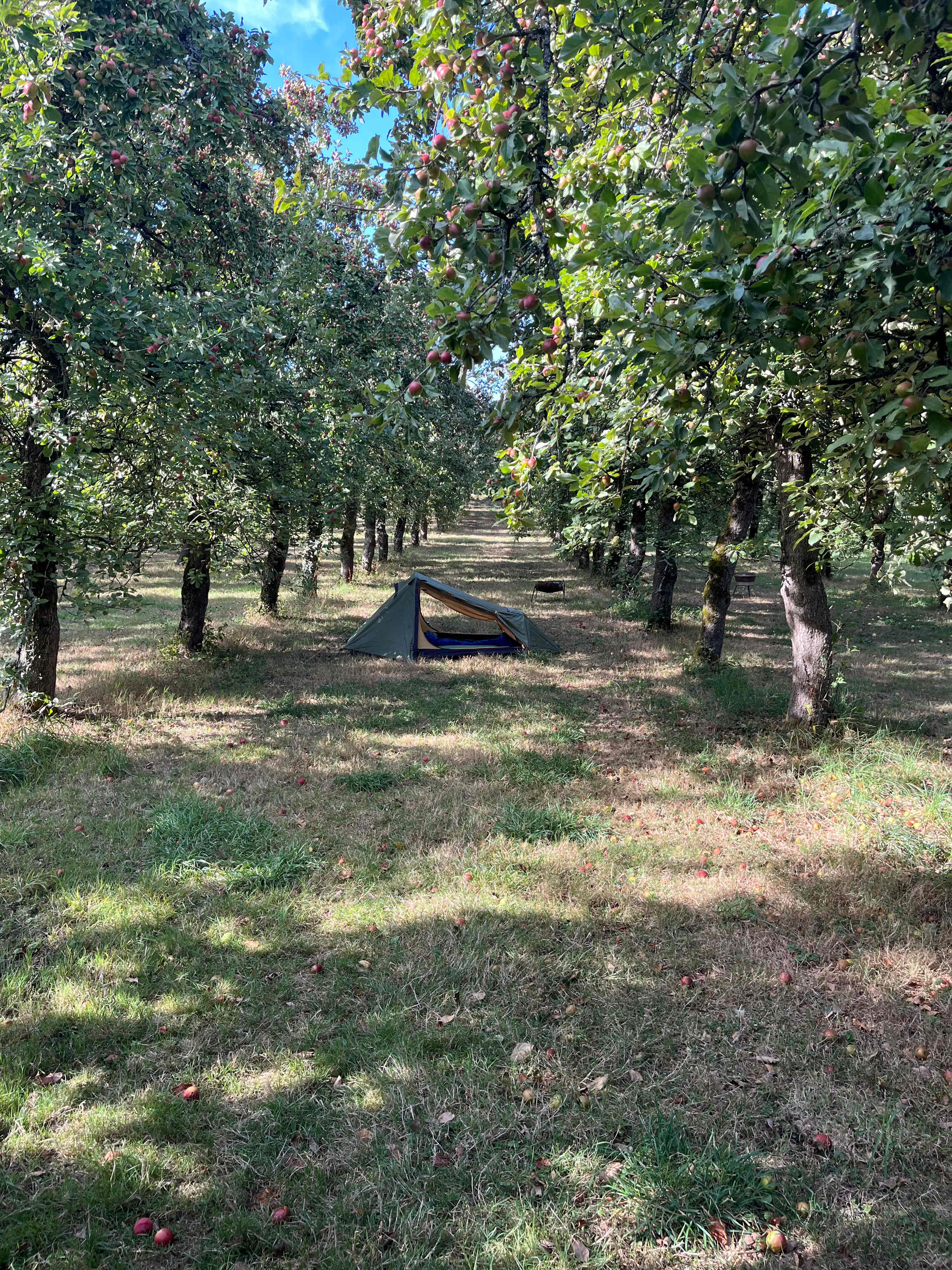 Cider Farm Orchard Campsite