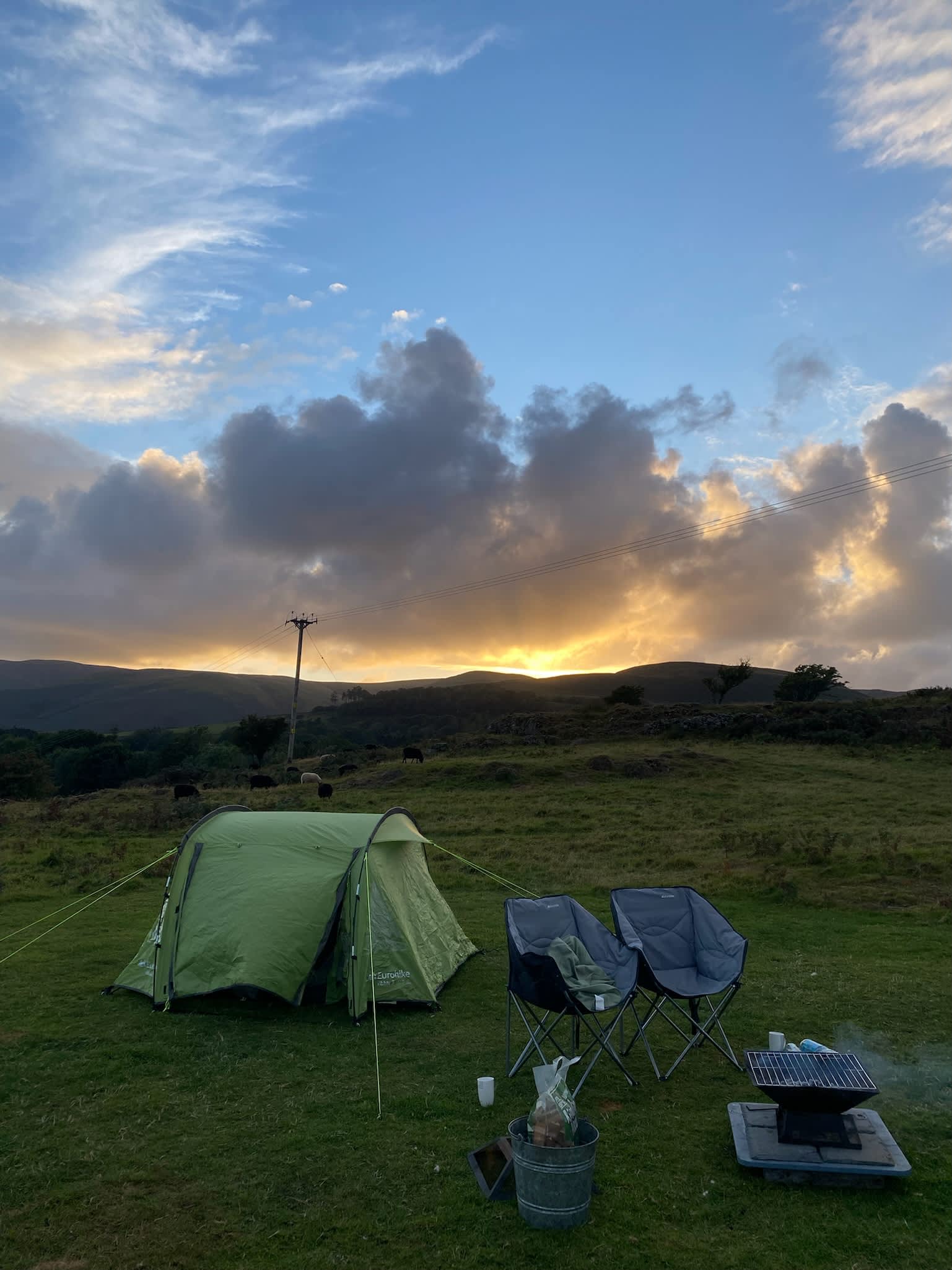 Hazel Mount Fellside