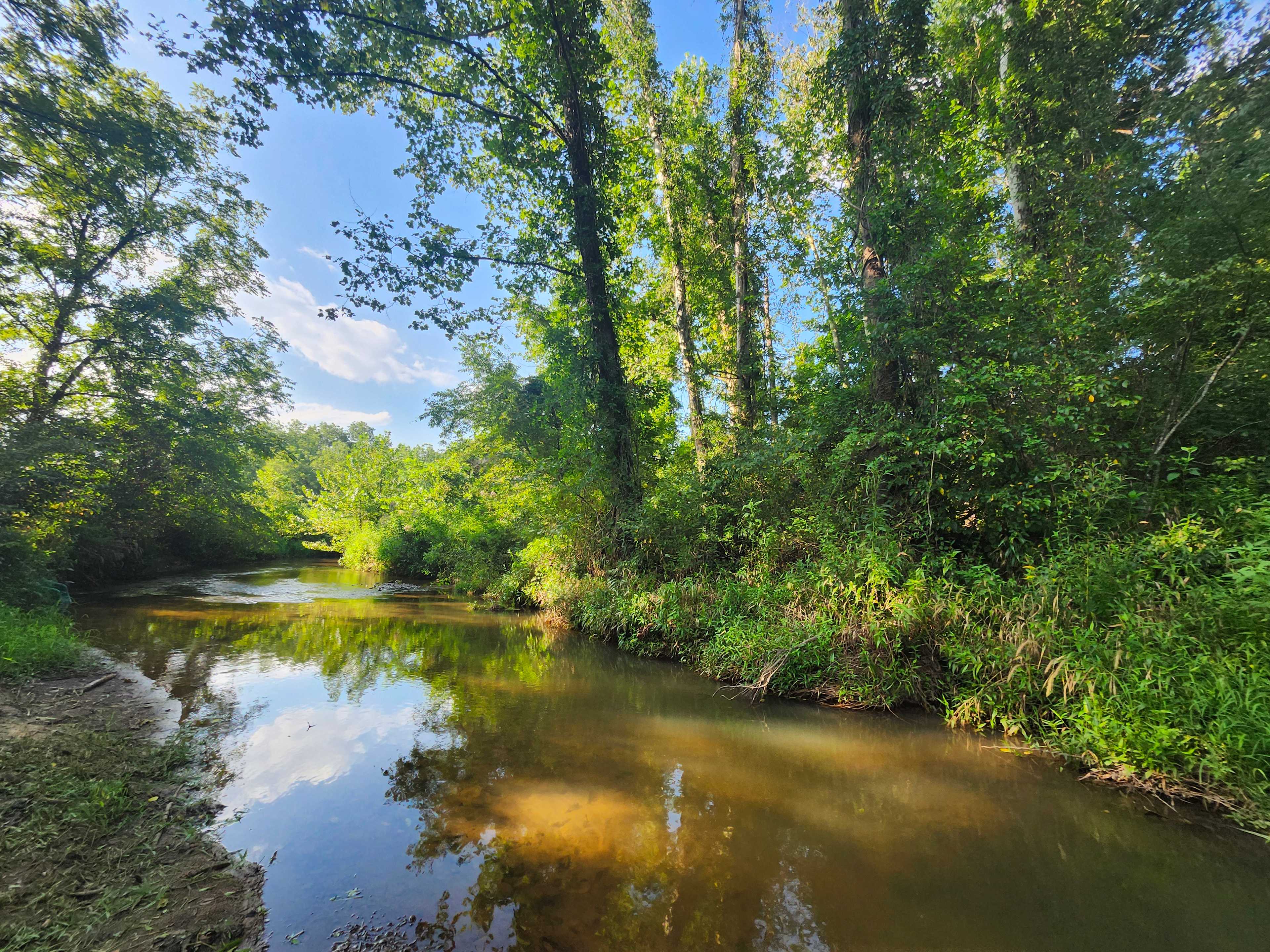Sleep under the stars overlooking the mountains by babbling stream
