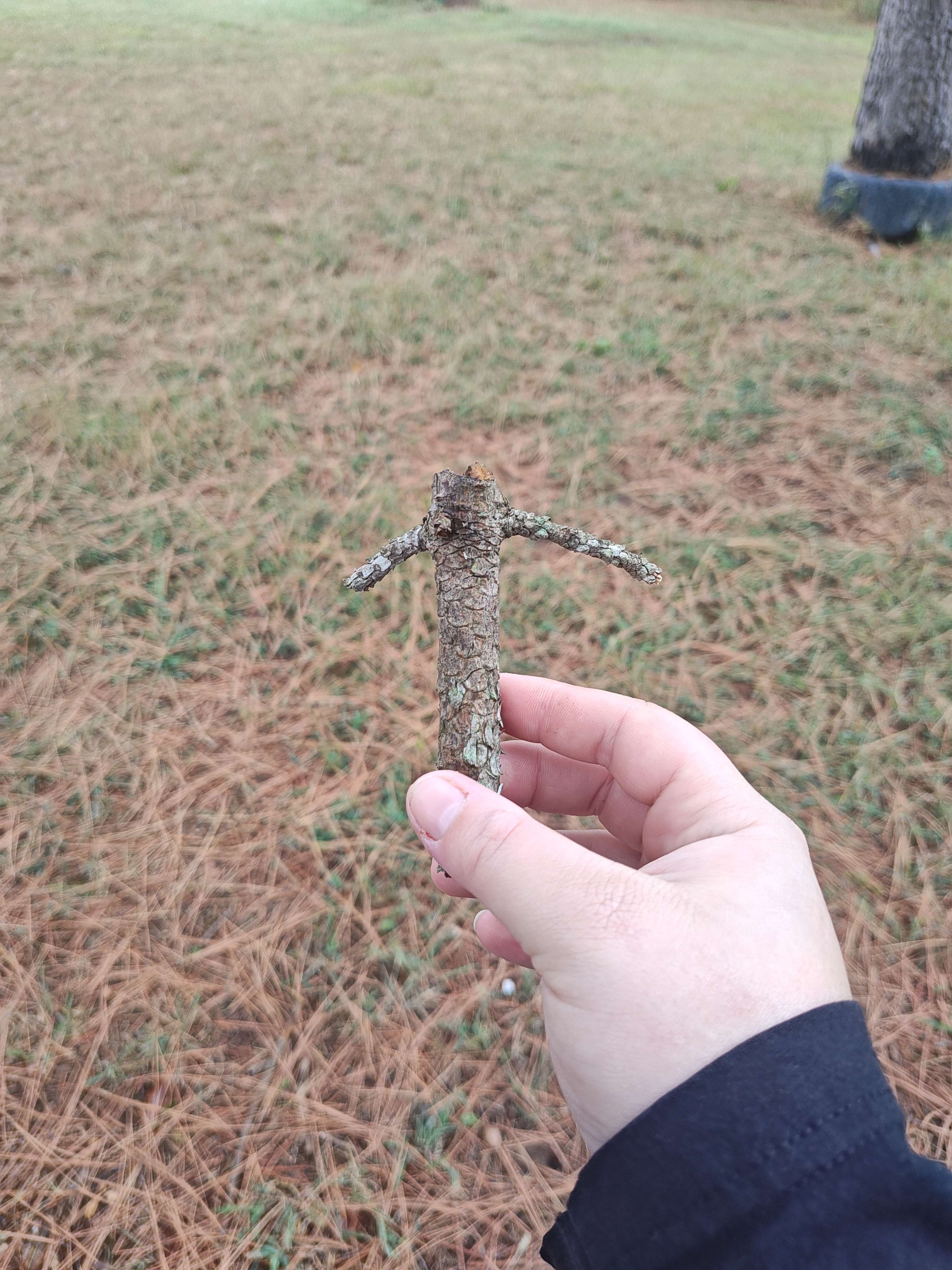 Buffalo Hump RV/tent