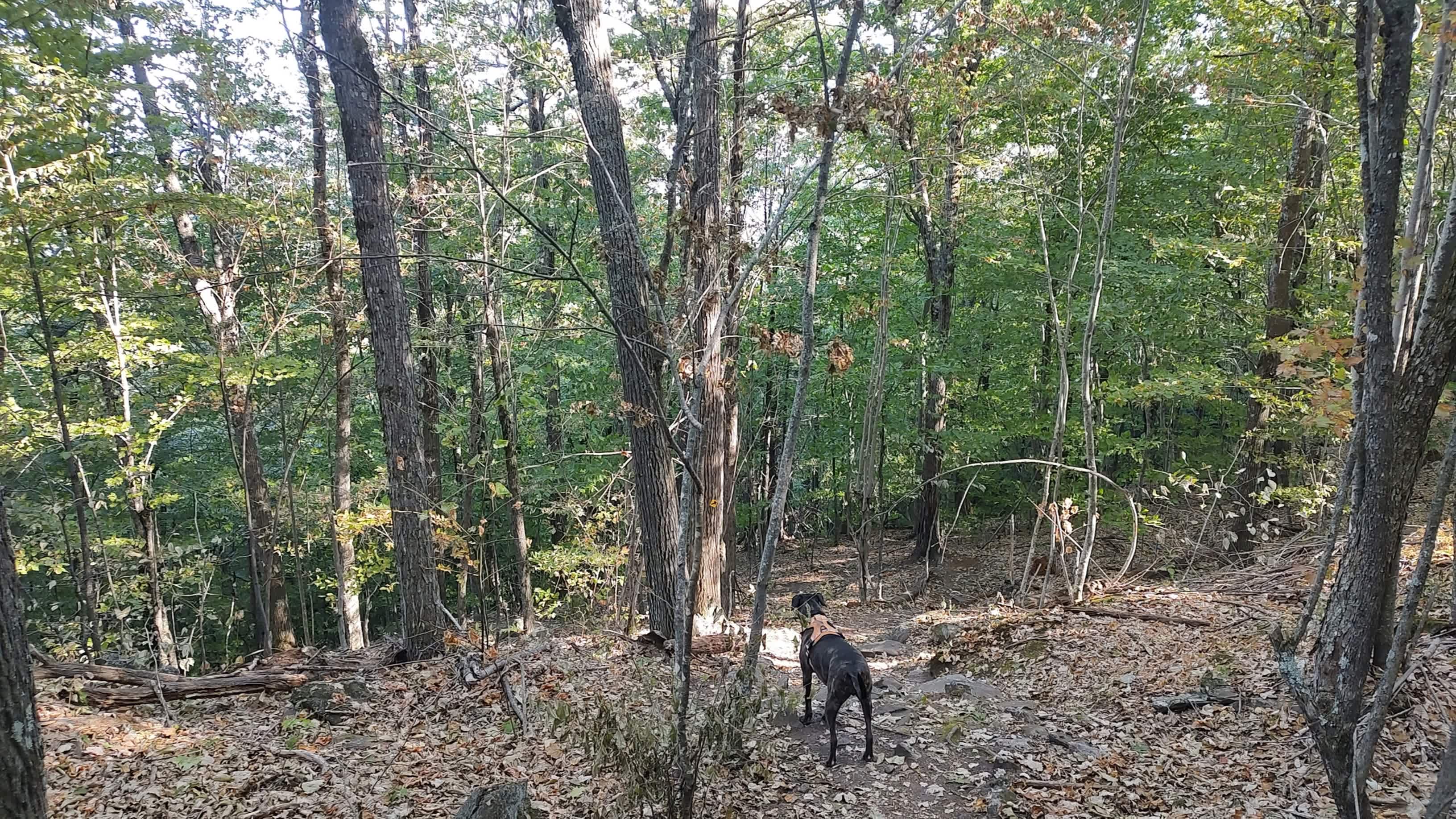 Plenty of well marked trails 