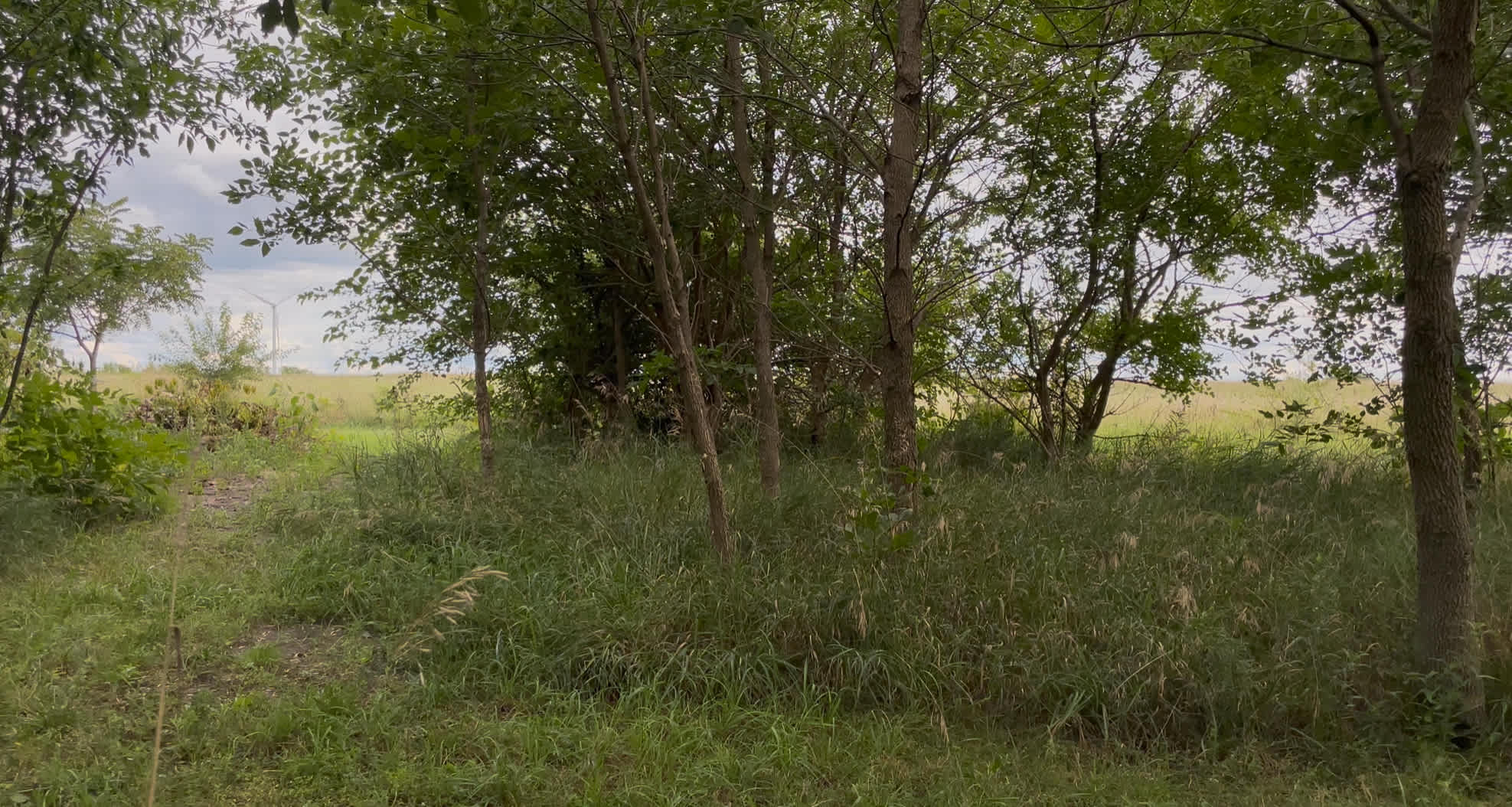 CSC Permaculture Project