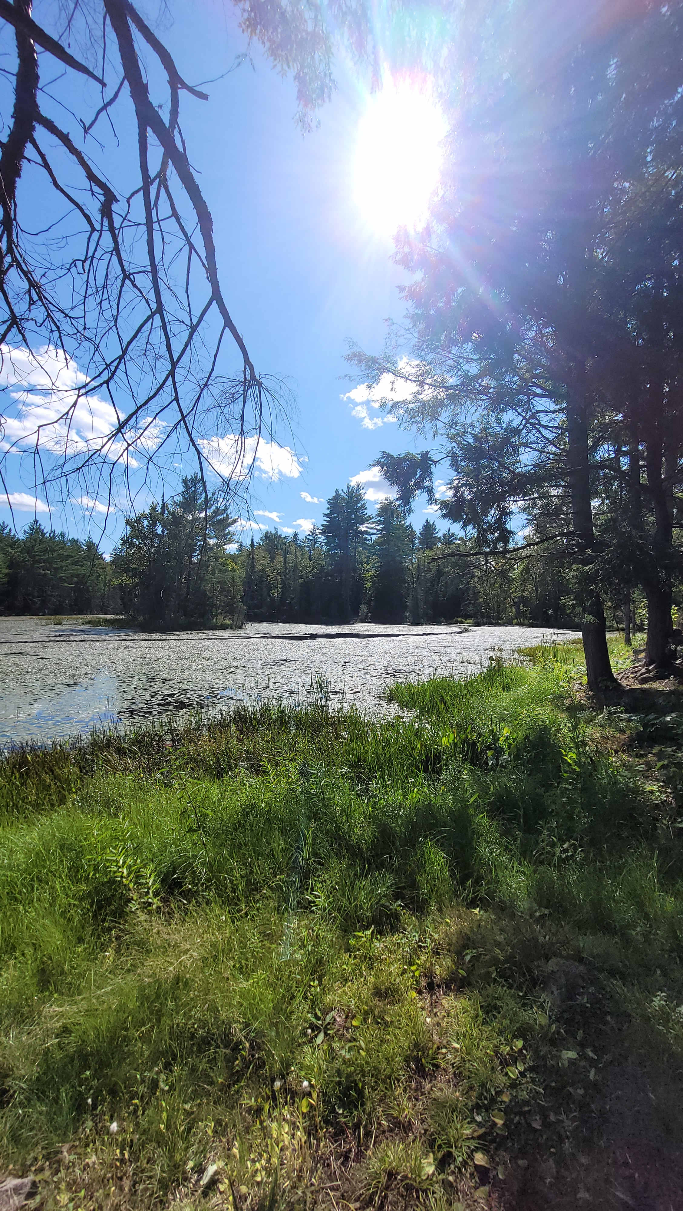 Hemlock Point Campground
