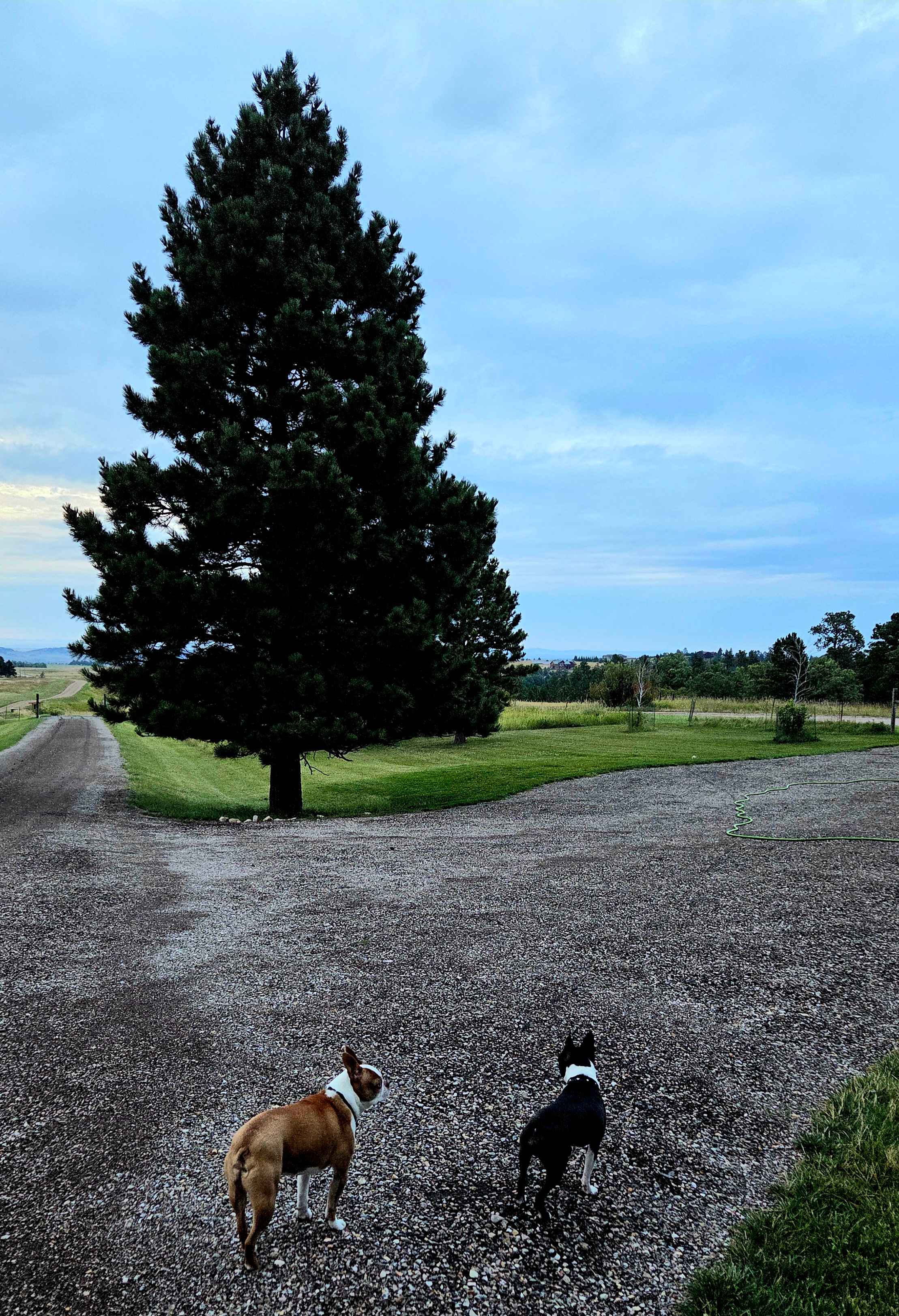 A look at sites 1 & 3