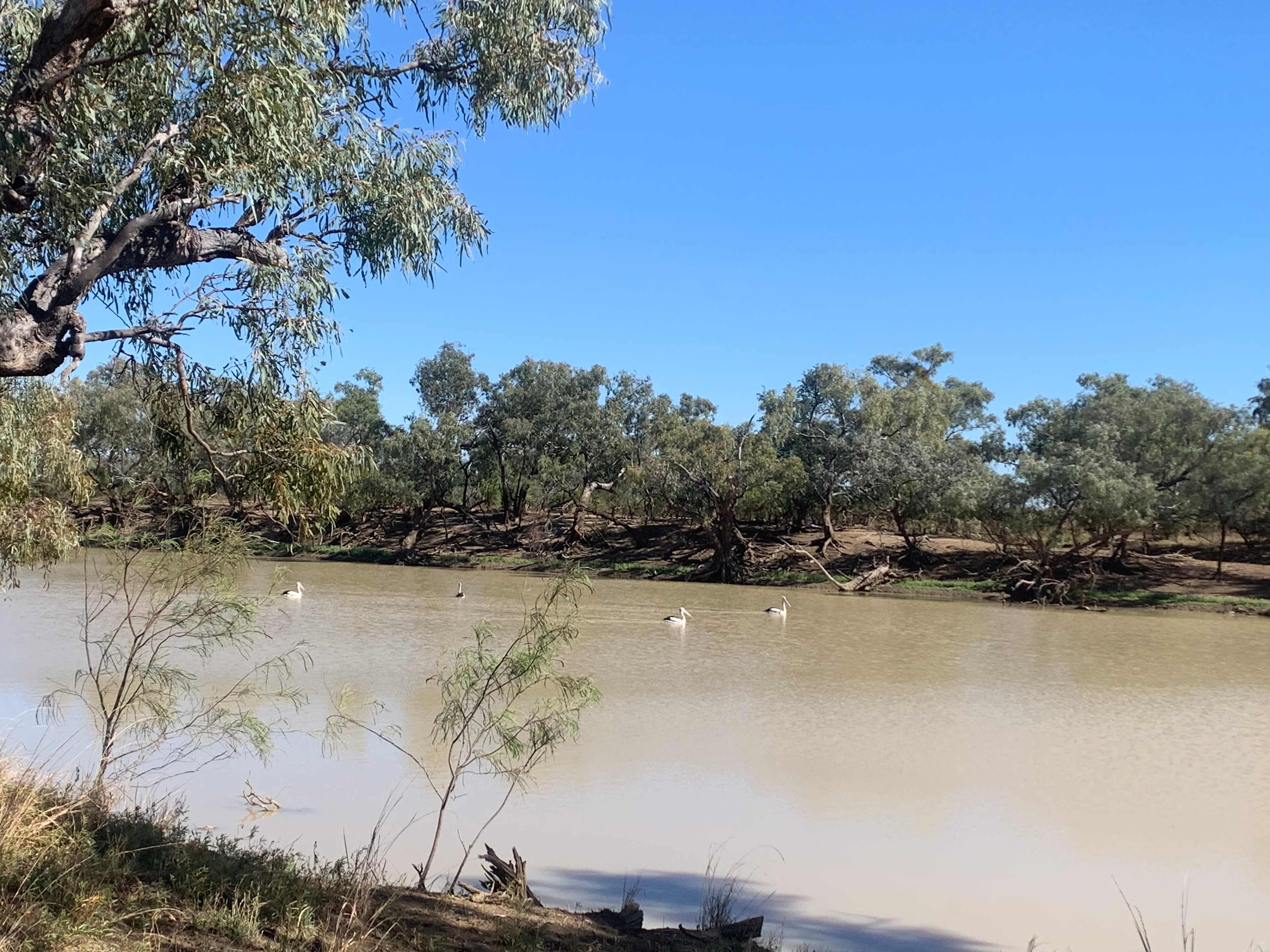 Goodberry Broadwater Campground