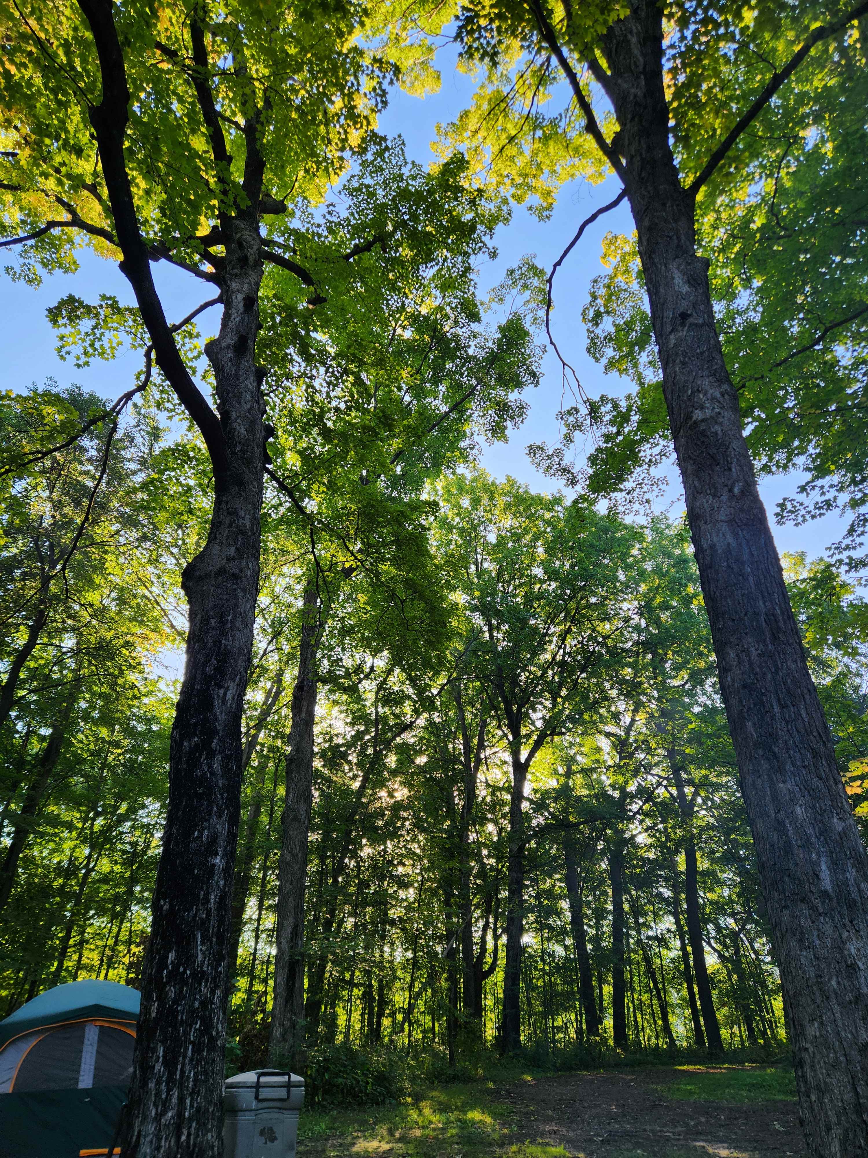 Bluff Hollow Camp on the Root River