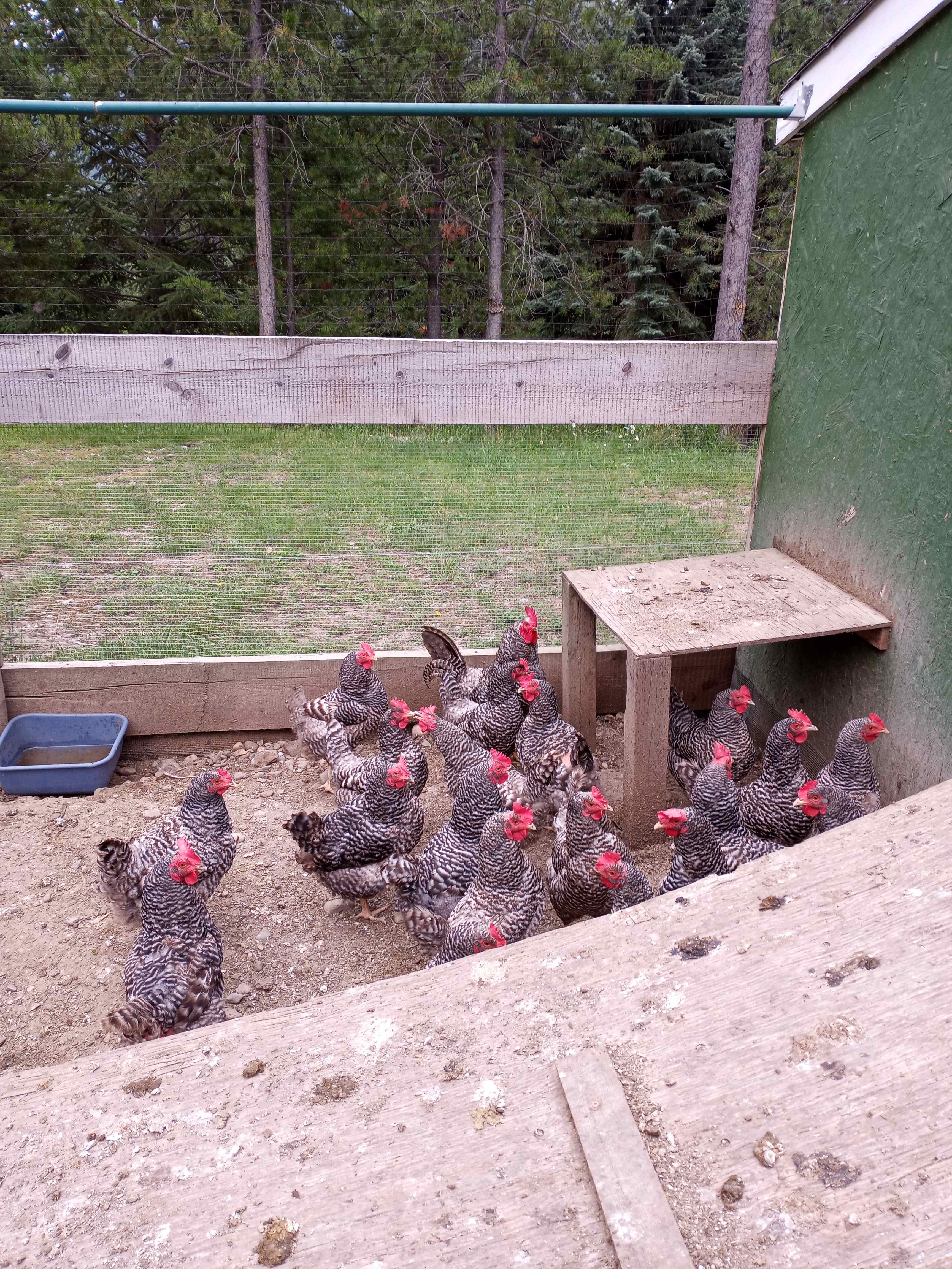 Murphy's Gold Creek Ranch