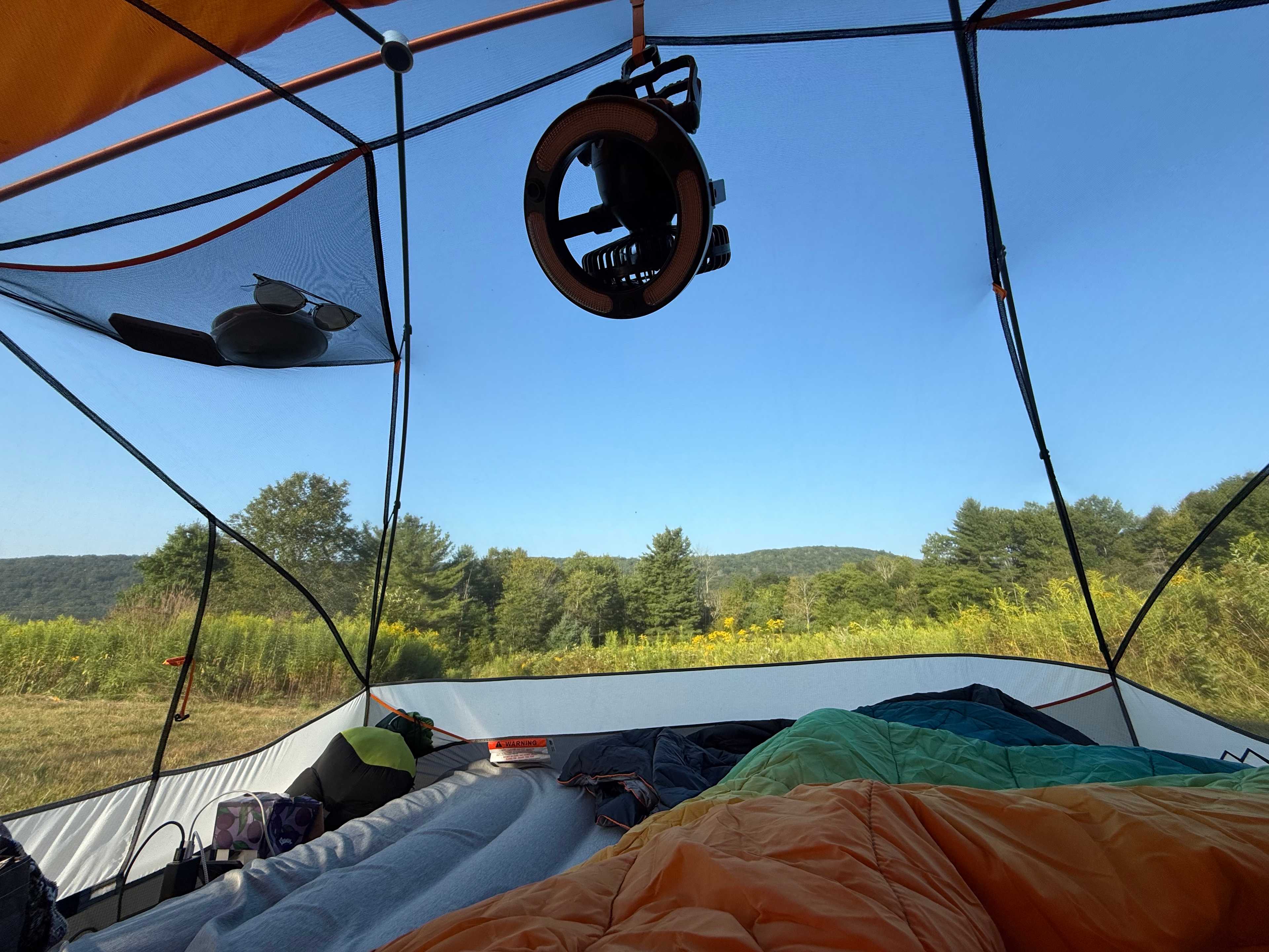 Late morning wake up