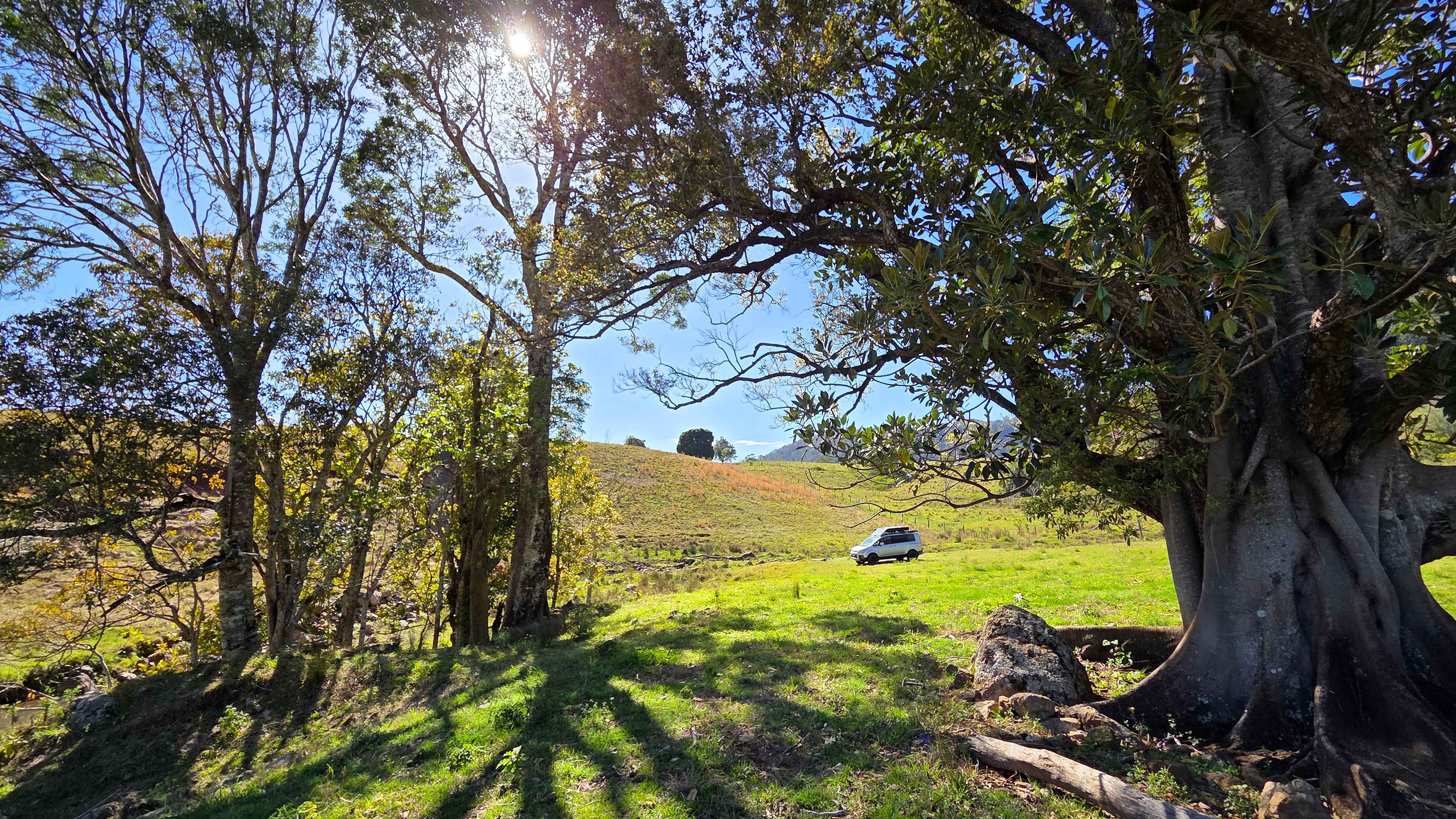 Caldera Creek Farm