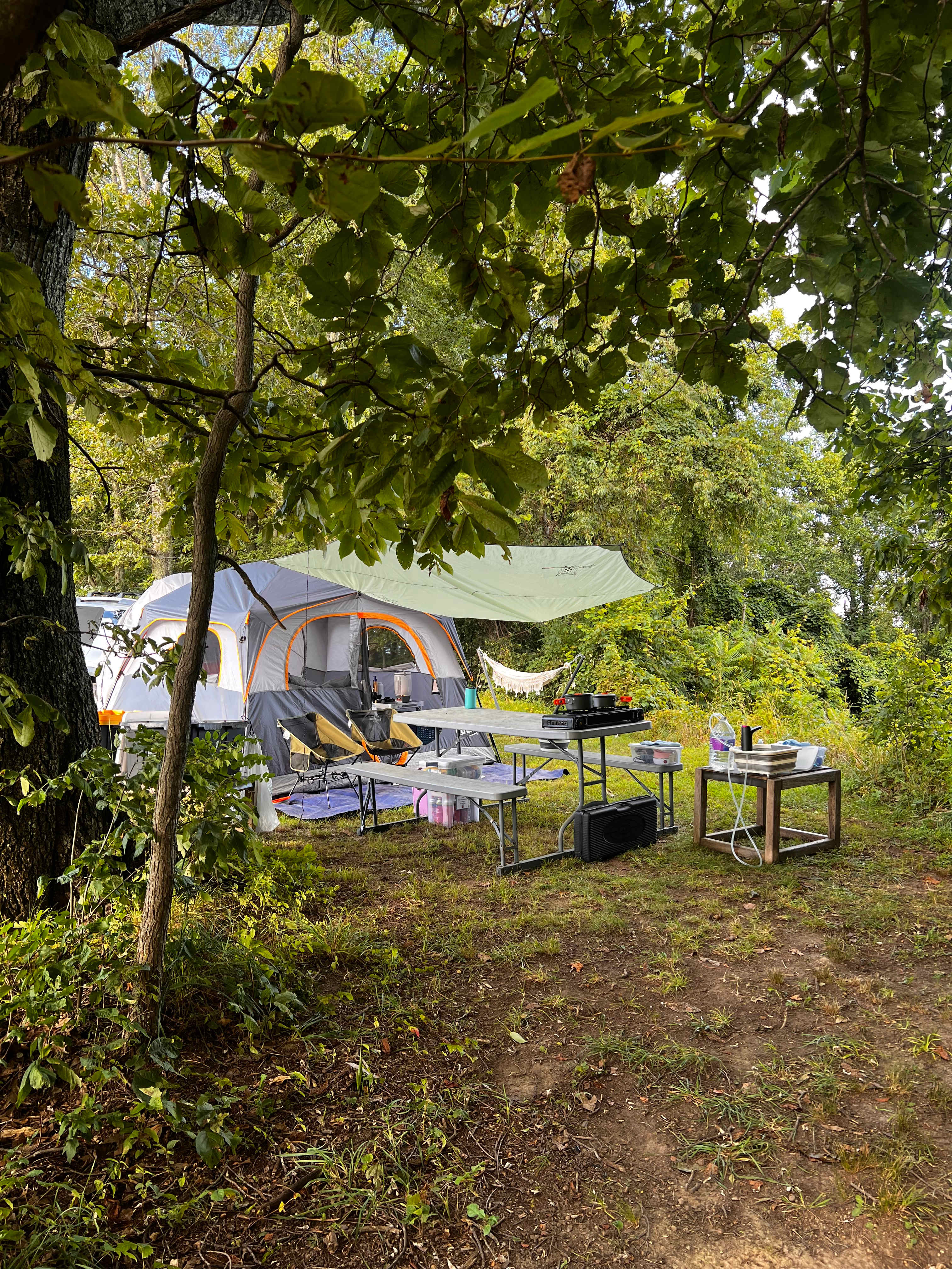 Mountains,Woods,Ponds, Natural