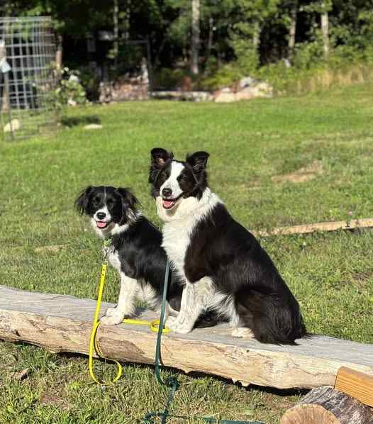 My girlz enjoyed the campground too.