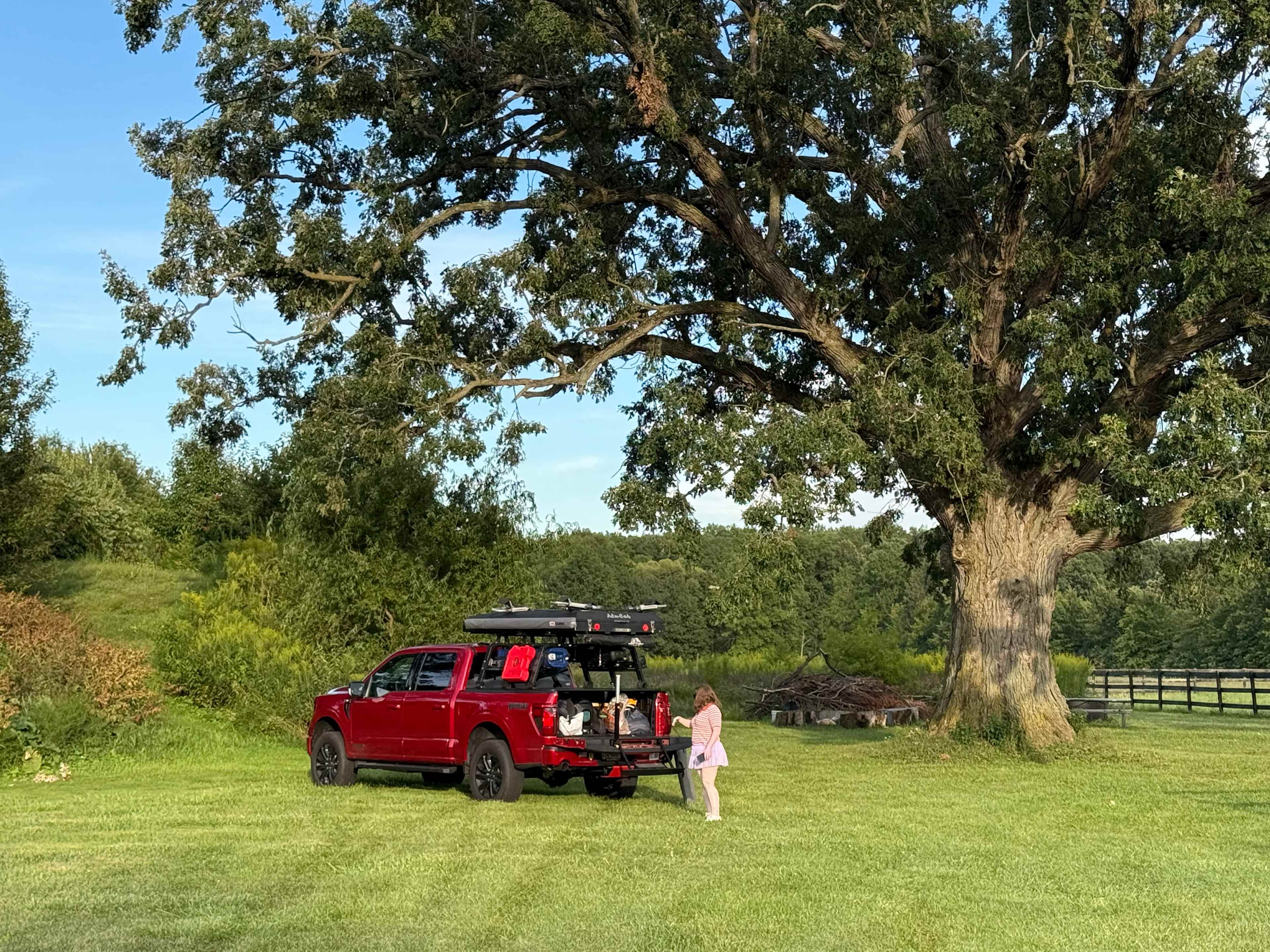 Set up at camp under Mother Oak