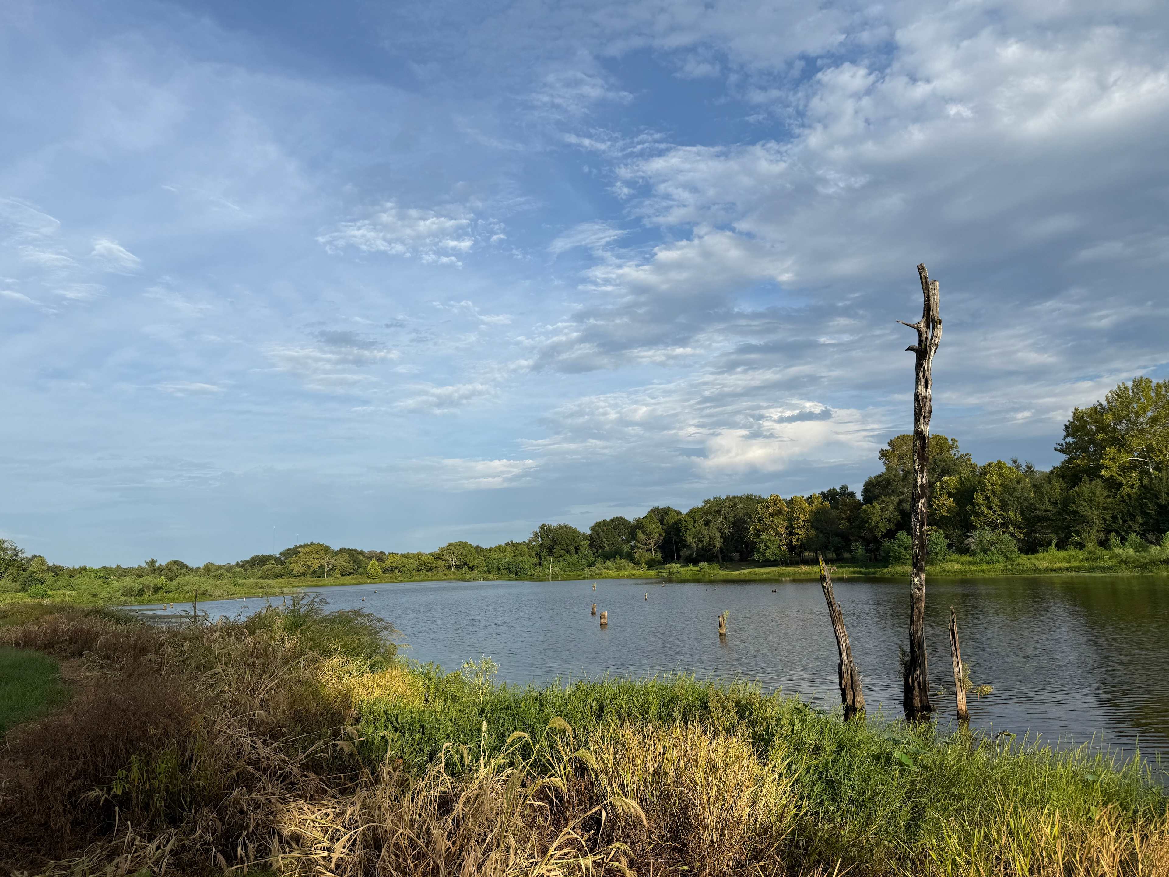 CAMP JOY - RV / TENTS CALDWELL, TX