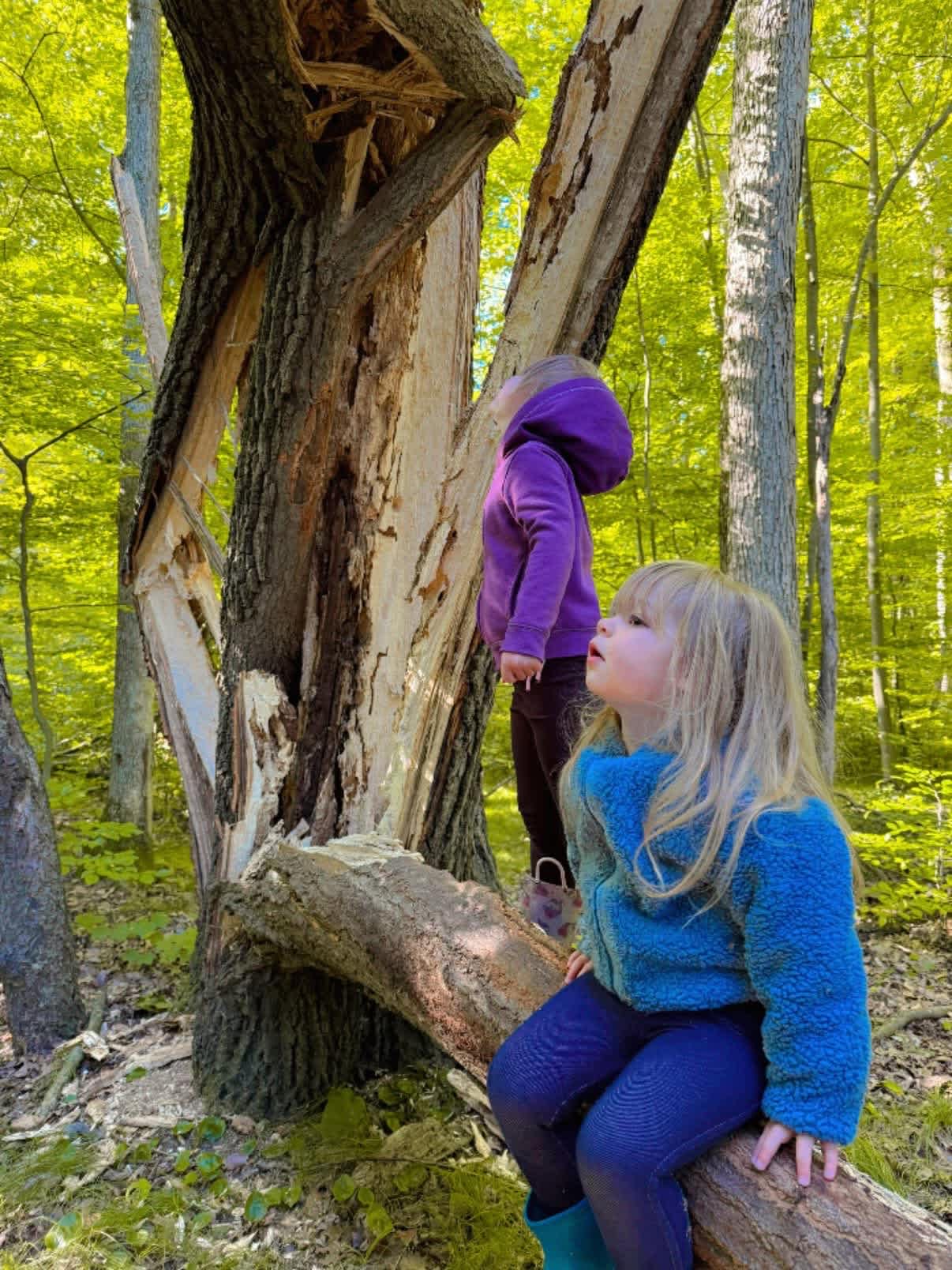 Hen and Hive Provisions