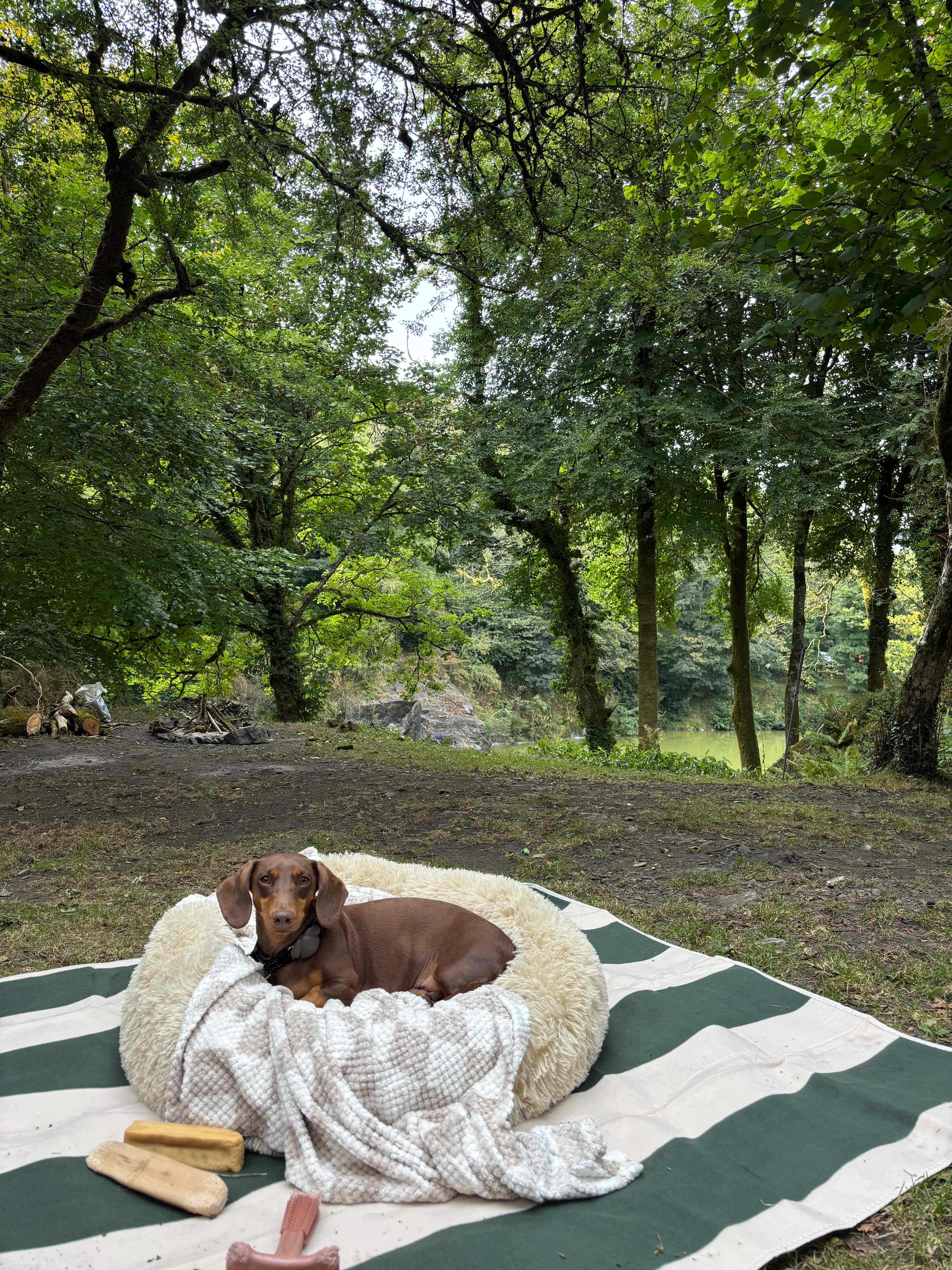 Meldon Lake and Woods Wild Camping
