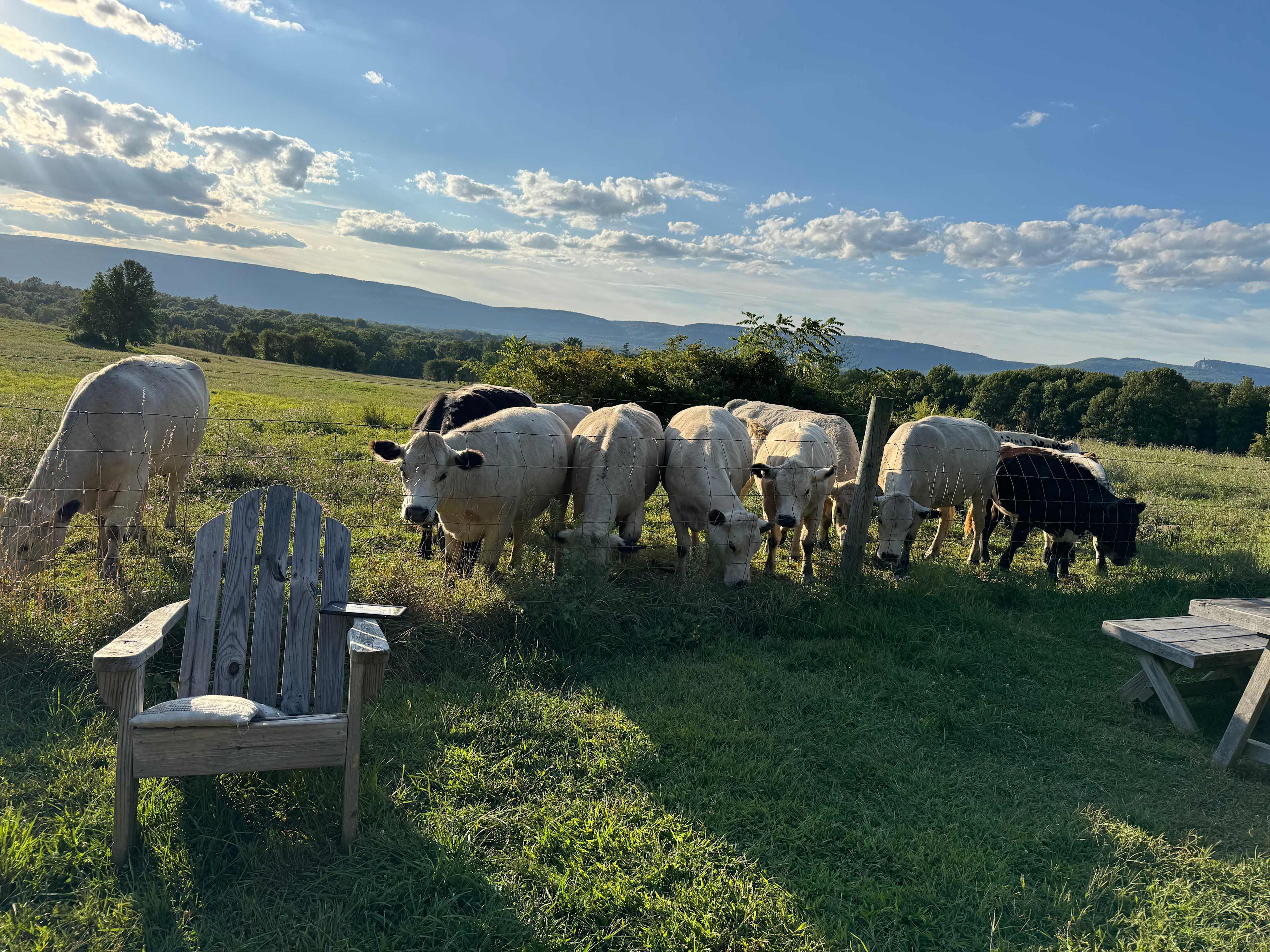 The 1772 Lefevre Homestead