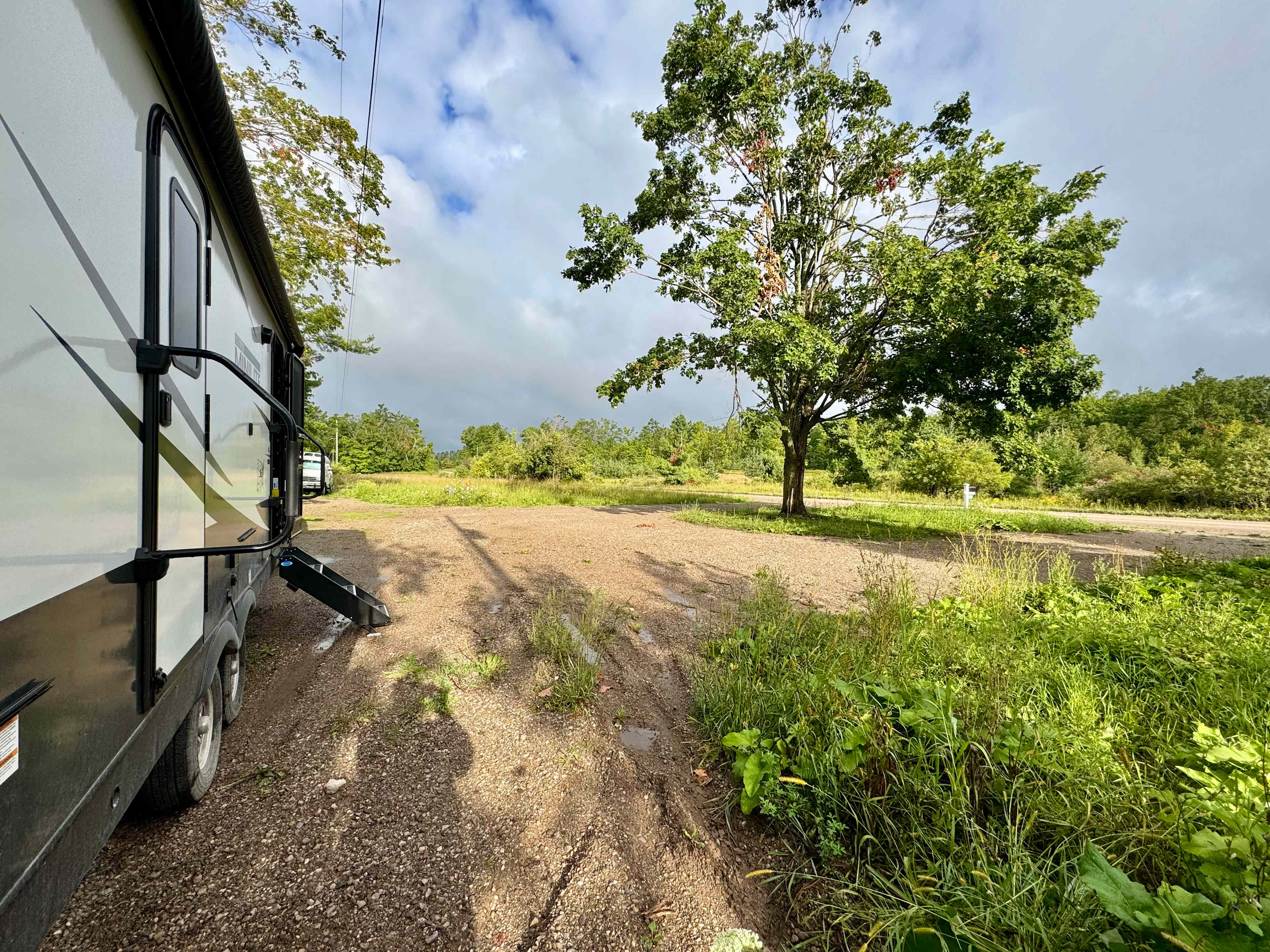 Tree in middle of u-shaped driveway 