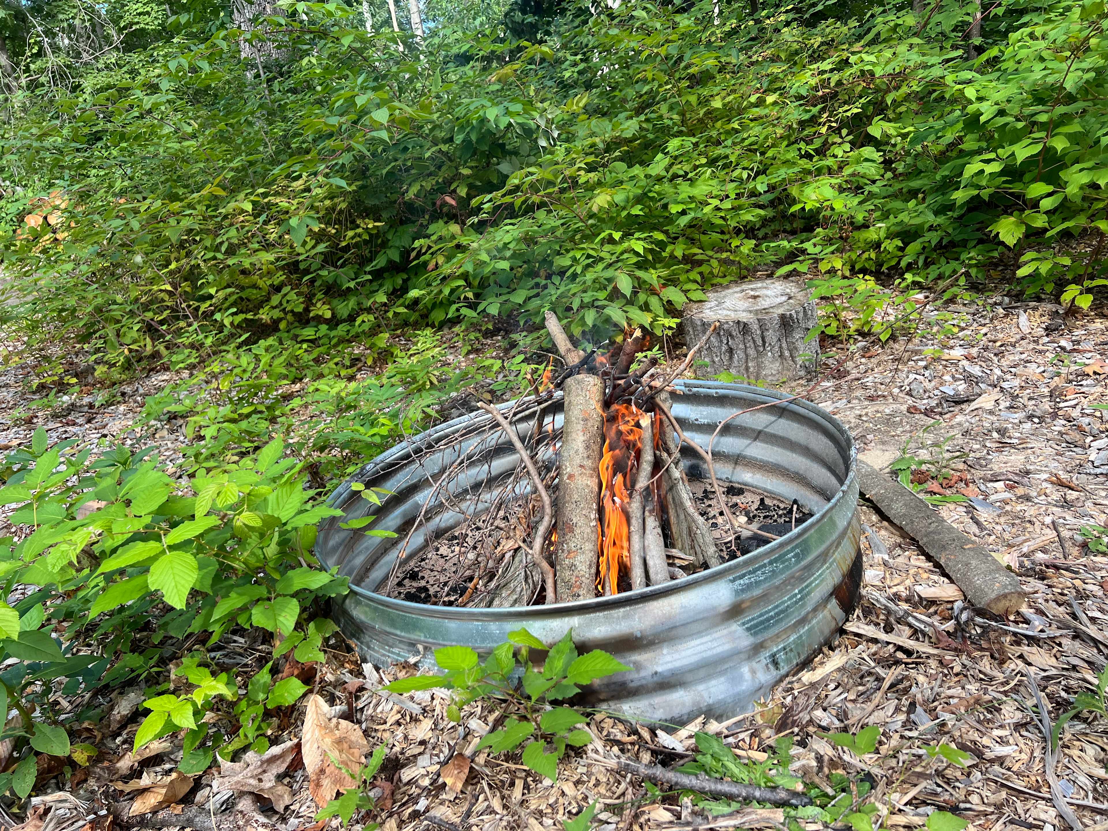 Picture of the site